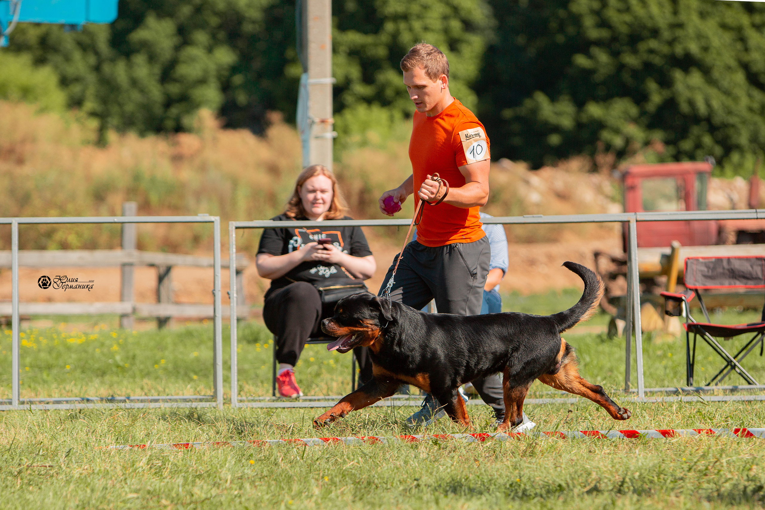 Рязань,Ховрино 14-15 августа 2021 моно ротвейлеров. Фотограф-анималист Юлия Германика
