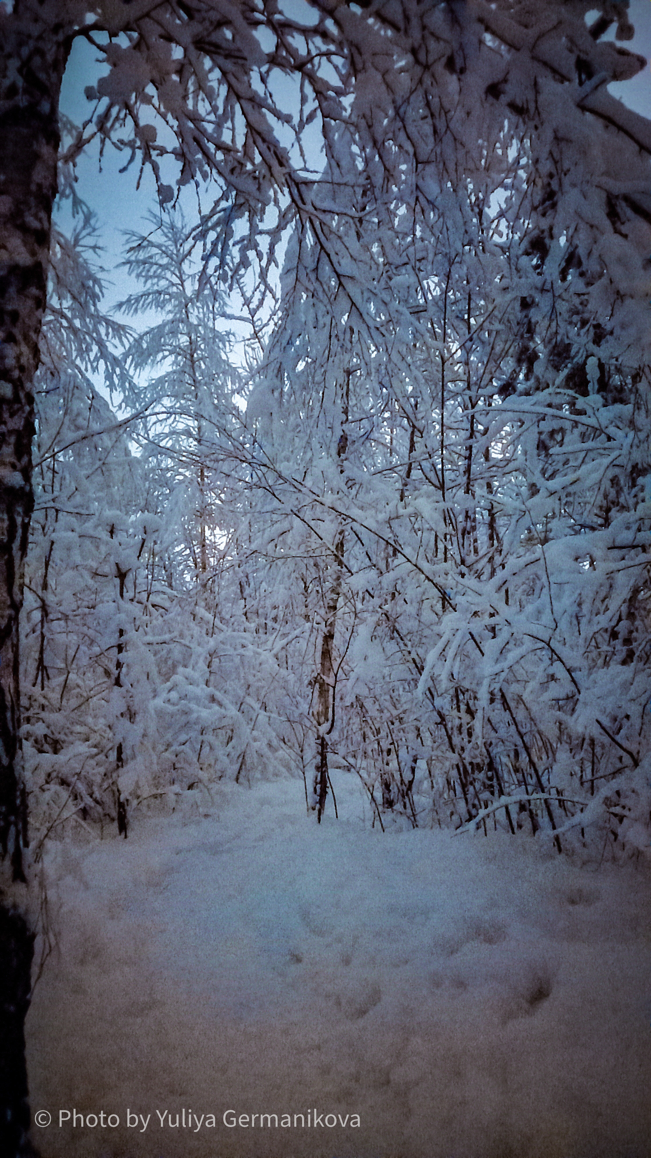 Разные фото на телефон.Города,природа. Фотограф-анималист Юлия Германика