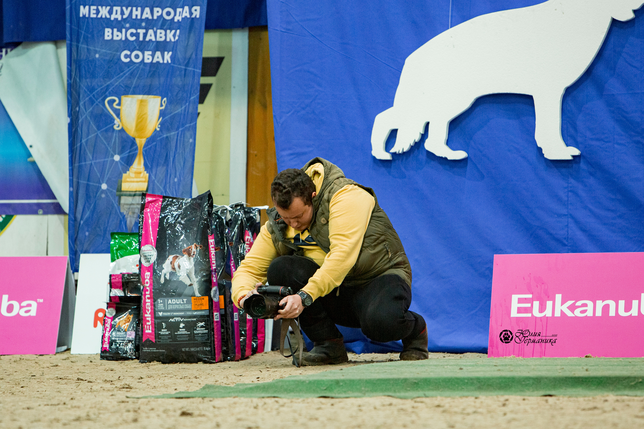 Минск 2хCACIB 27-28 ноября 2021. Фотограф-анималист Юлия Германика