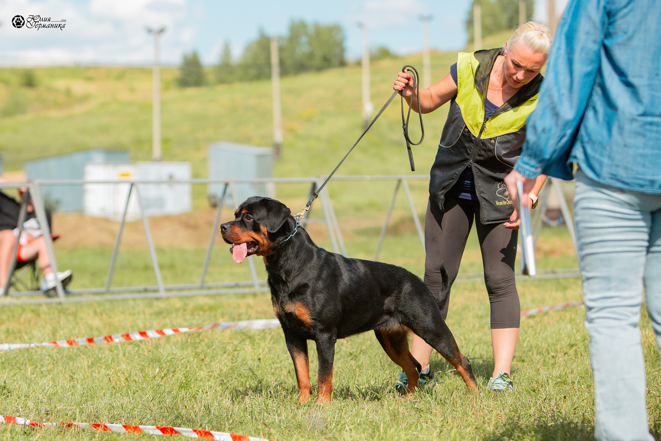 Рязань,Ховрино 14-15 августа 2021 моно ротвейлеров. Фотограф-анималист Юлия Германика