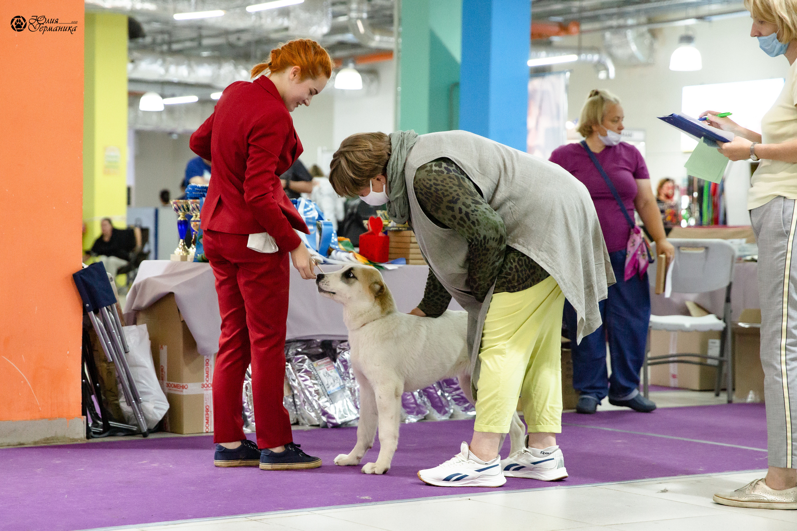 Чайна-Таун 2021. Фотограф-анималист Юлия Германика