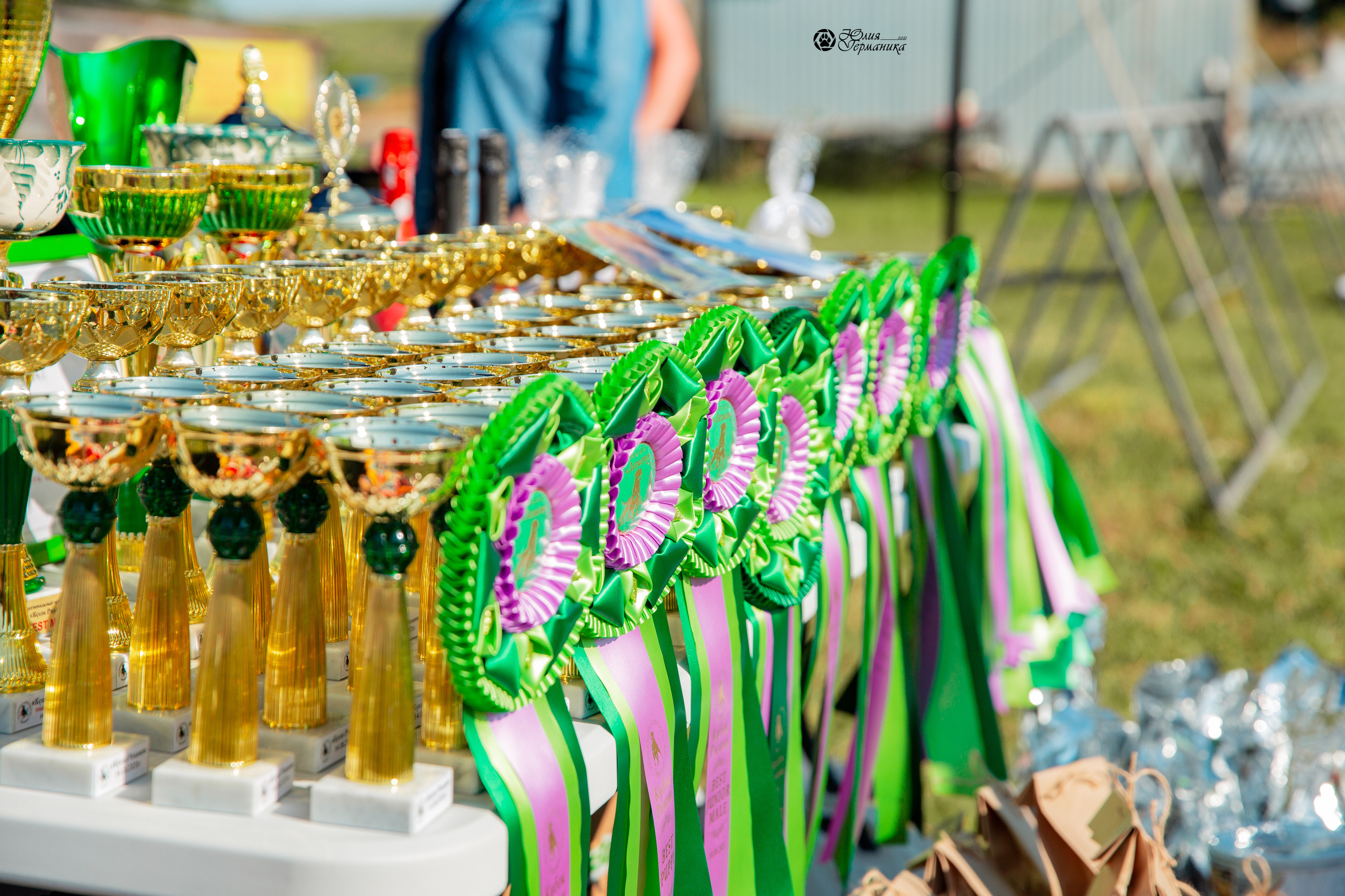 Рязань,Ховрино 14-15 августа 2021 моно ротвейлеров. Фотограф-анималист Юлия Германика