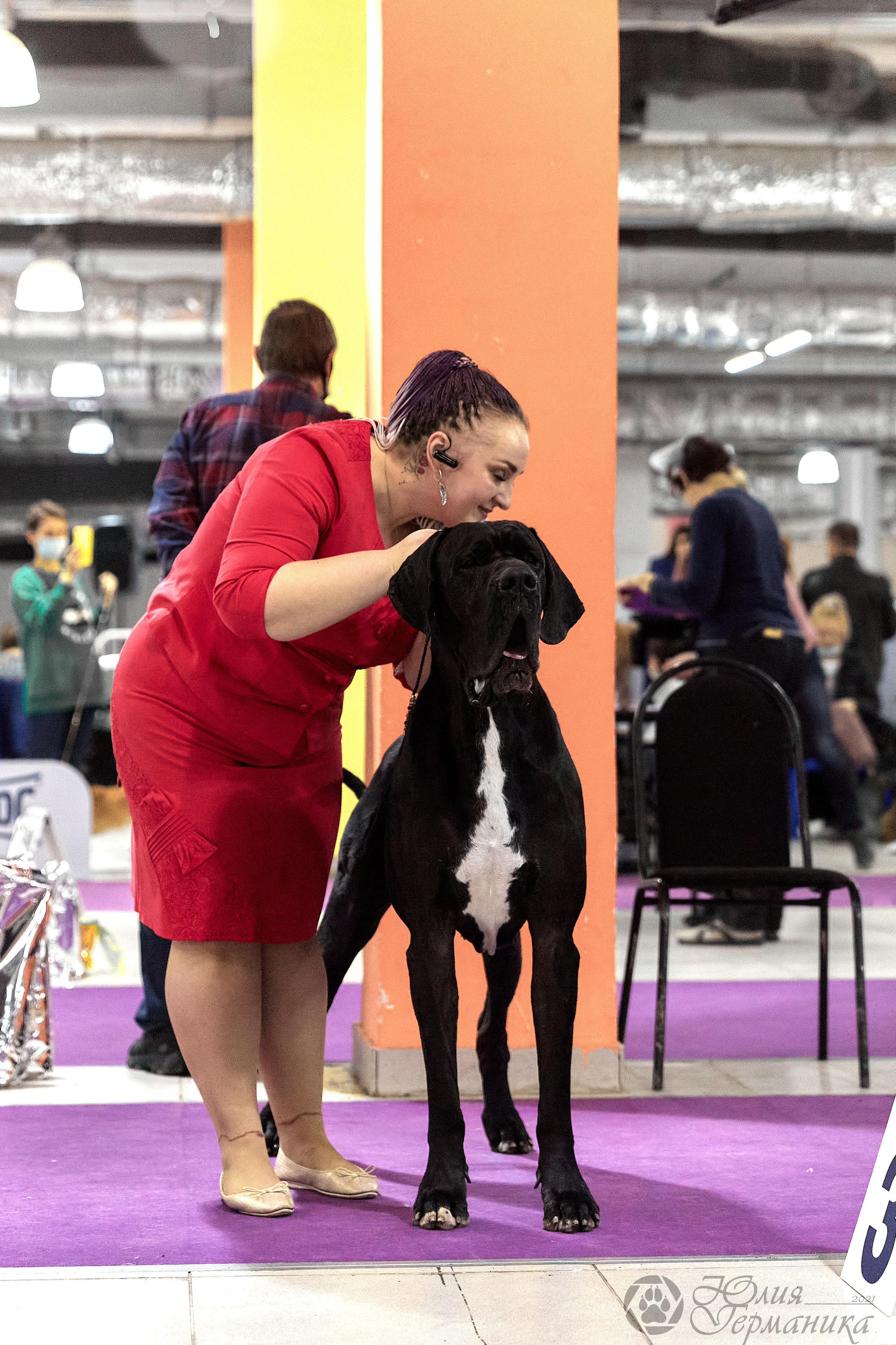 Чайник  13-14 ноября 2021. Фотограф-анималист Юлия Германика