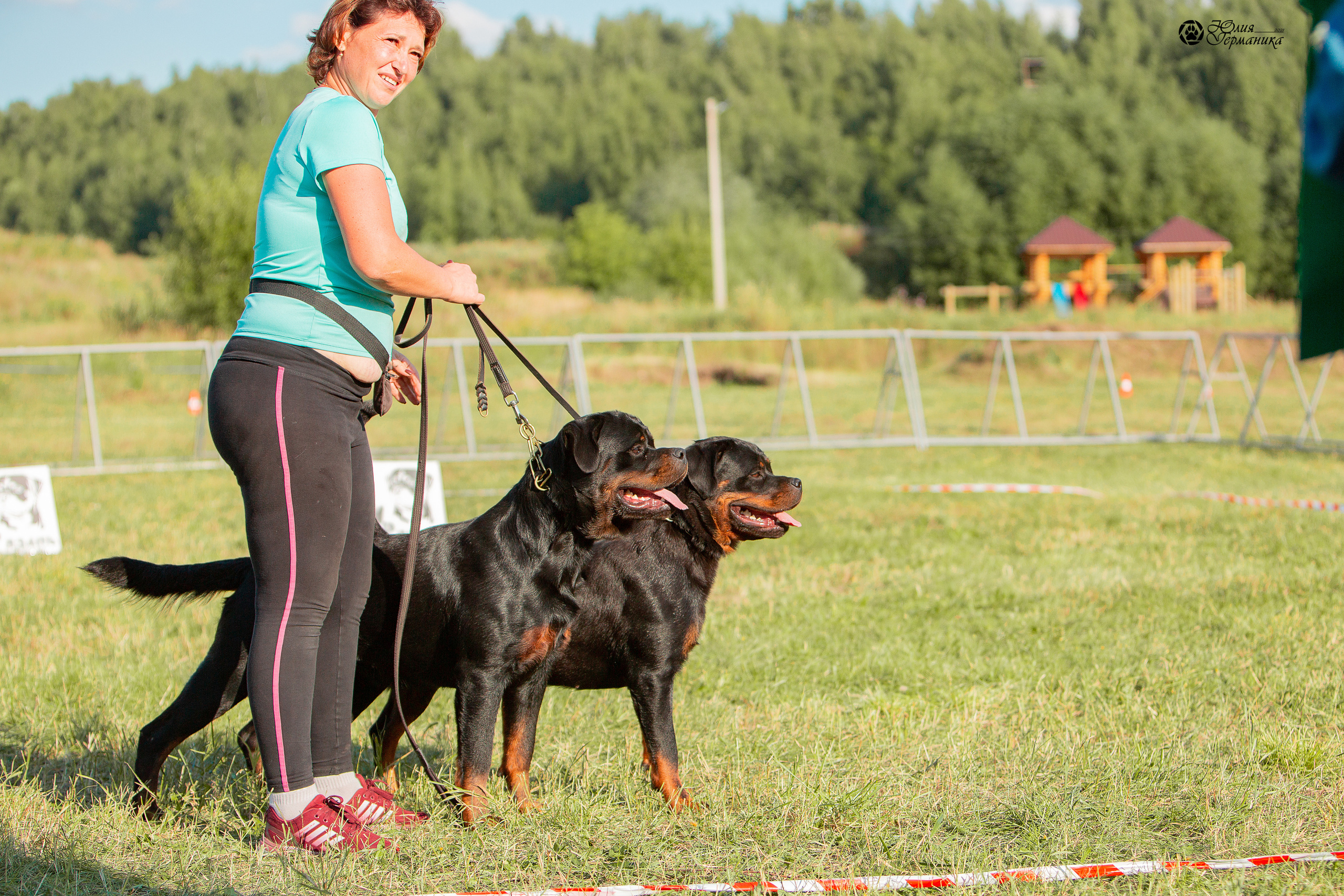 Рязань,Ховрино 14-15 августа 2021 моно ротвейлеров. Фотограф-анималист Юлия Германика