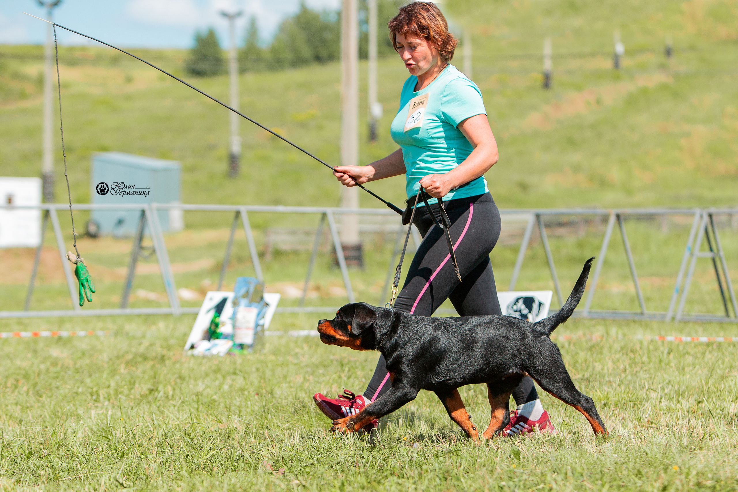 Рязань,Ховрино 14-15 августа 2021 моно ротвейлеров. Фотограф-анималист Юлия Германика
