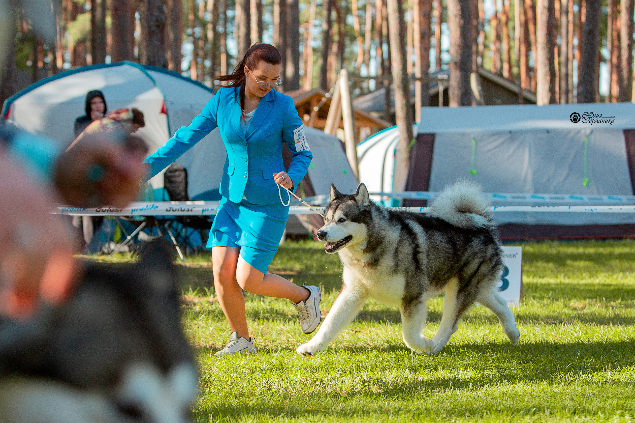 Псков 2xСАСIB 18-19 сентября 2021. Фотограф-анималист Юлия Германика