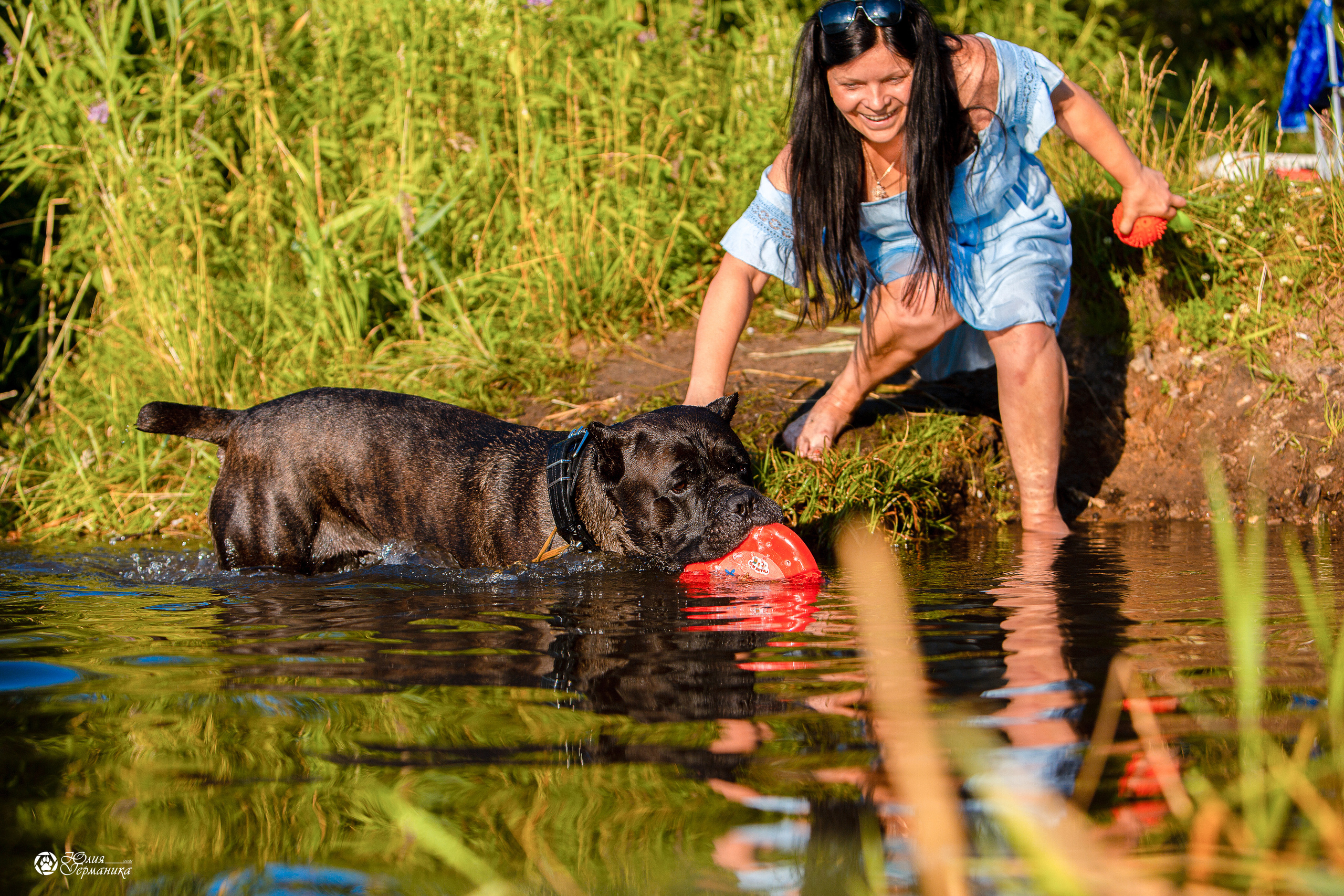 Свободная съемка. Фотограф-анималист Юлия Германика