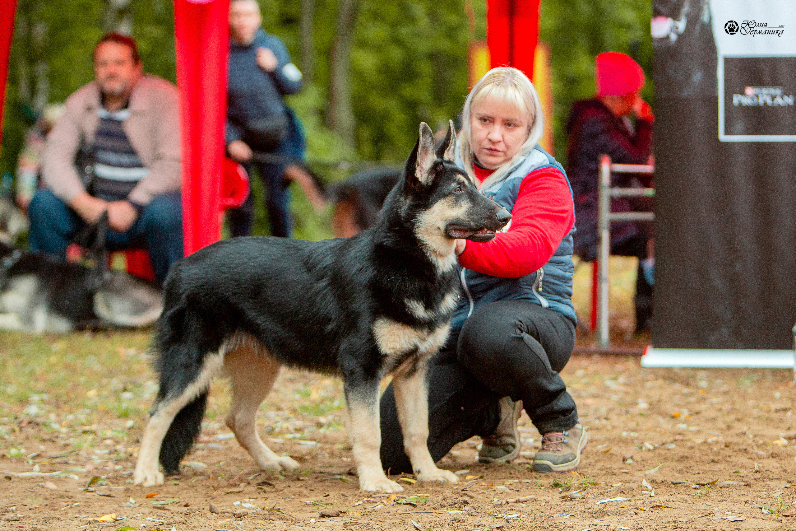 Сокольники 25 сентября Моно ВЕО Моншер Версаль. Фотограф-анималист Юлия Германика