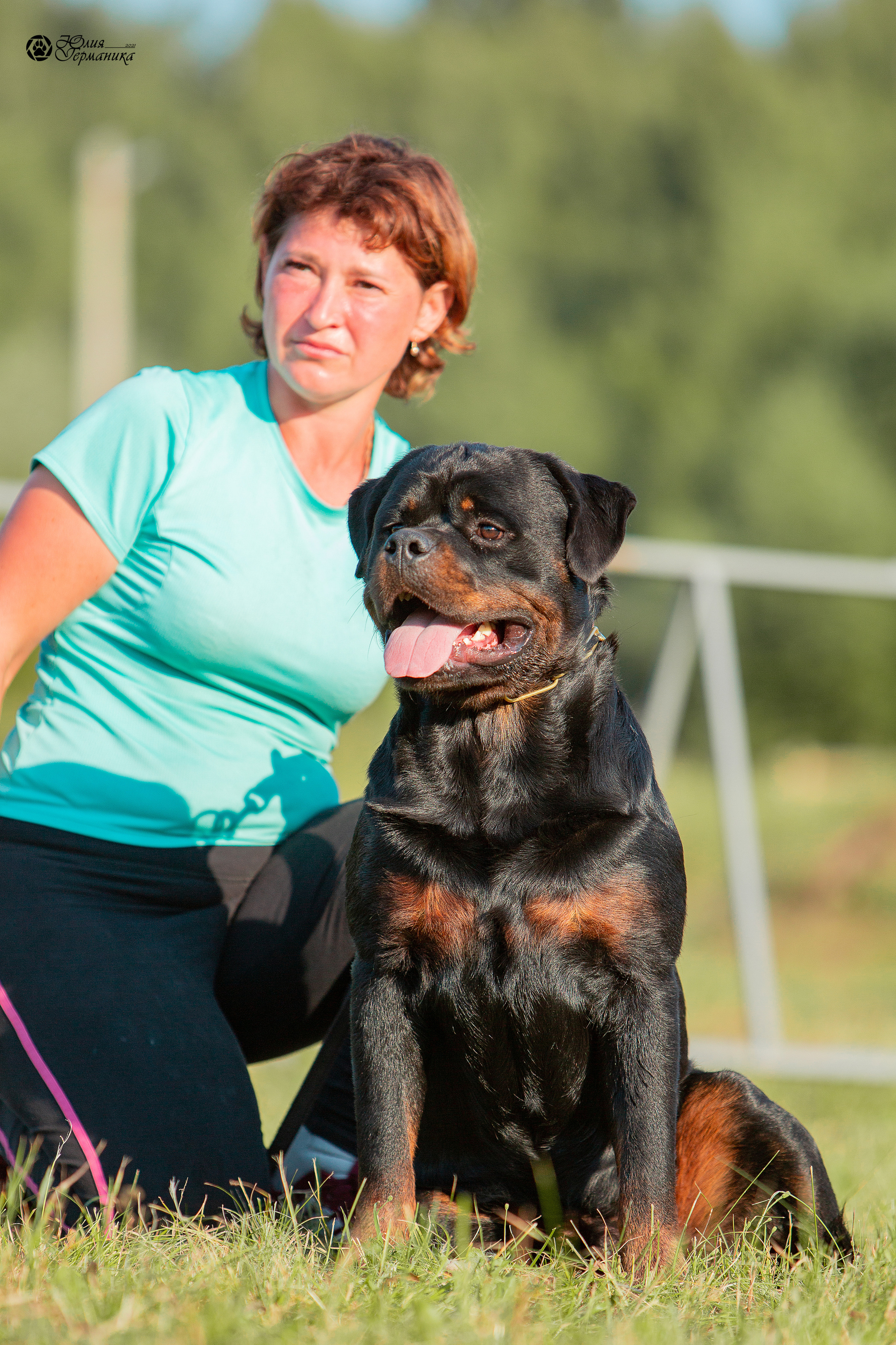 Рязань,Ховрино 14-15 августа 2021 моно ротвейлеров. Фотограф-анималист Юлия Германика