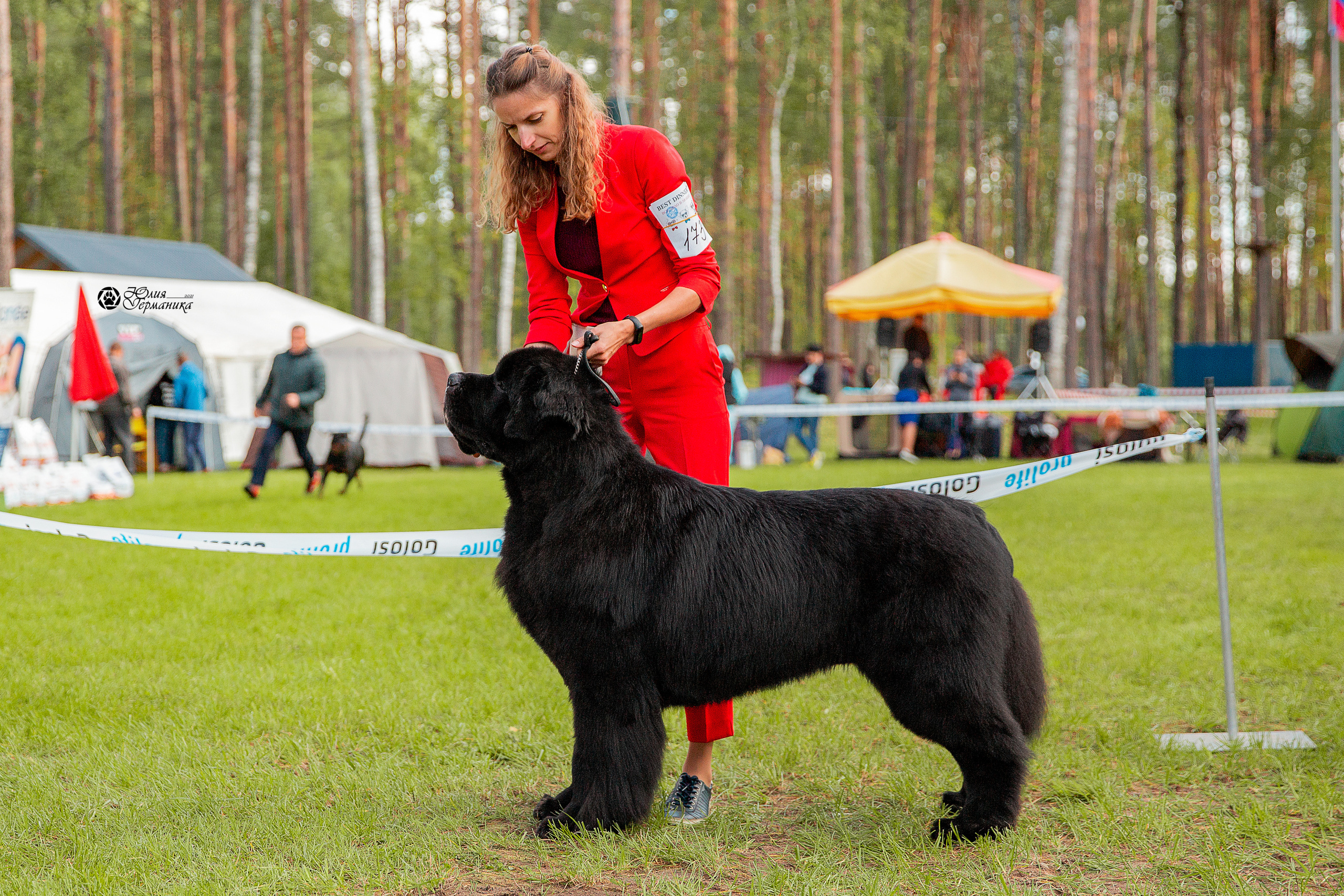 Псков 2xСАСIB 18-19 сентября 2021. Фотограф-анималист Юлия Германика