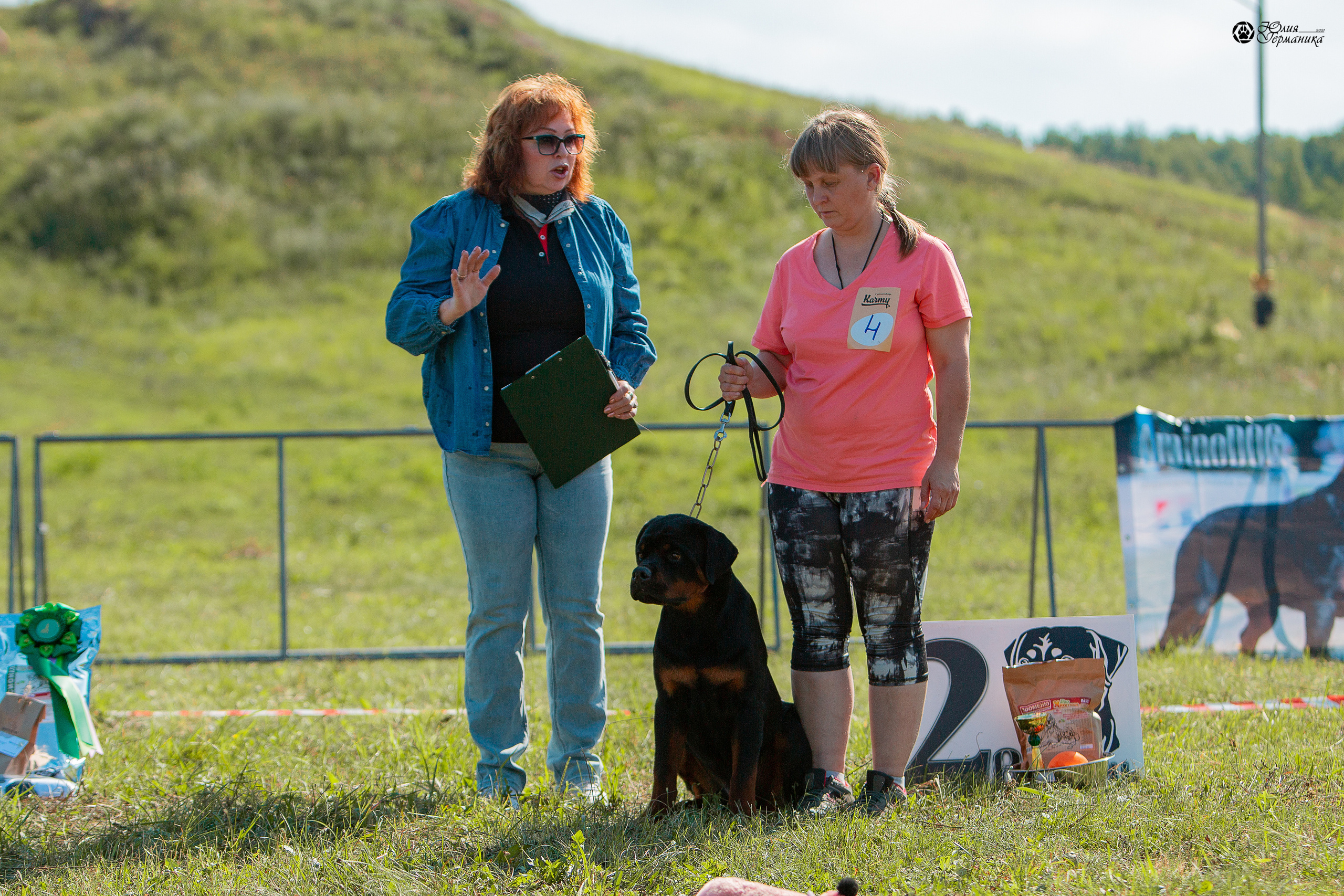 Рязань,Ховрино 14-15 августа 2021 моно ротвейлеров. Фотограф-анималист Юлия Германика
