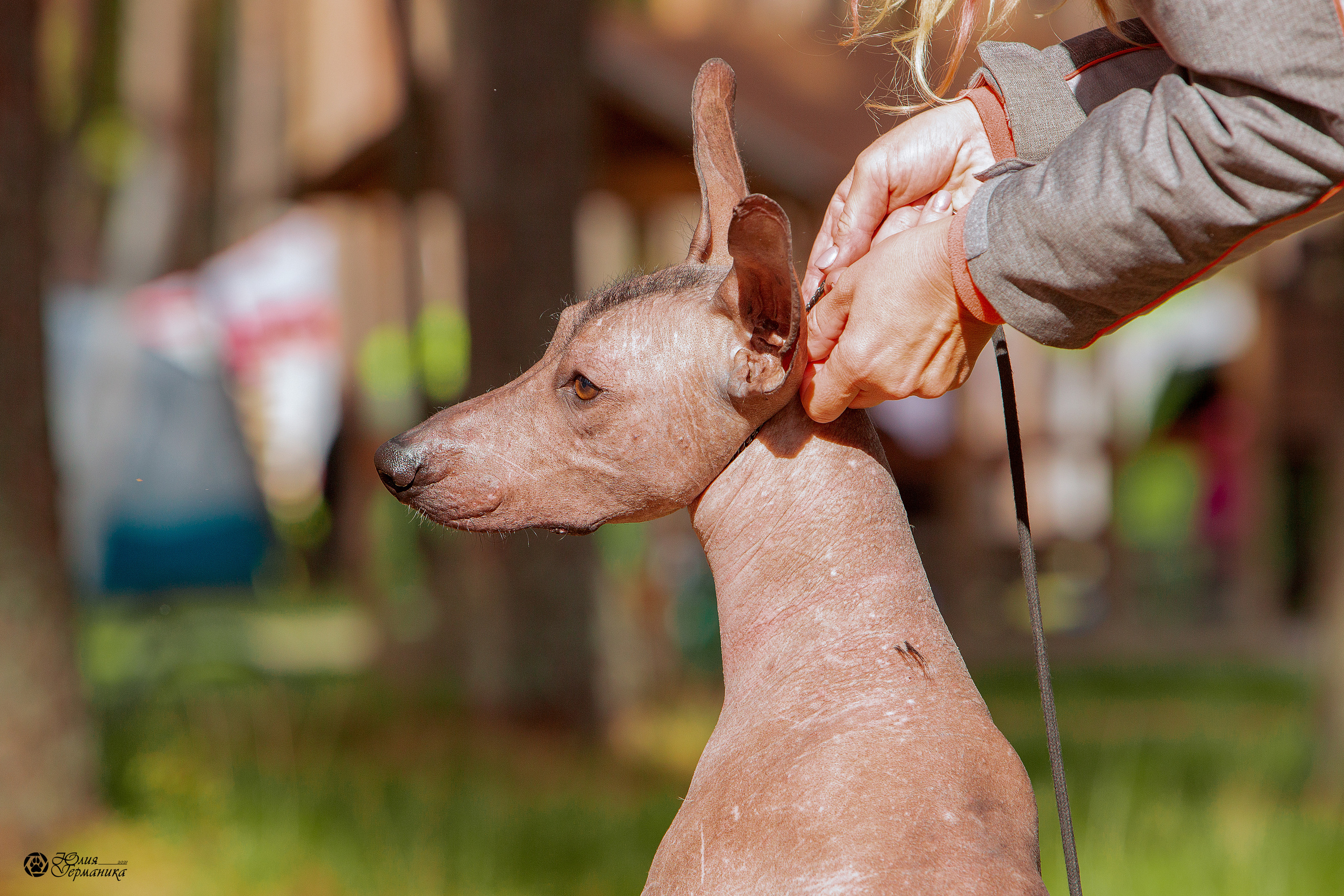 Свободная съемка. Фотограф-анималист Юлия Германика