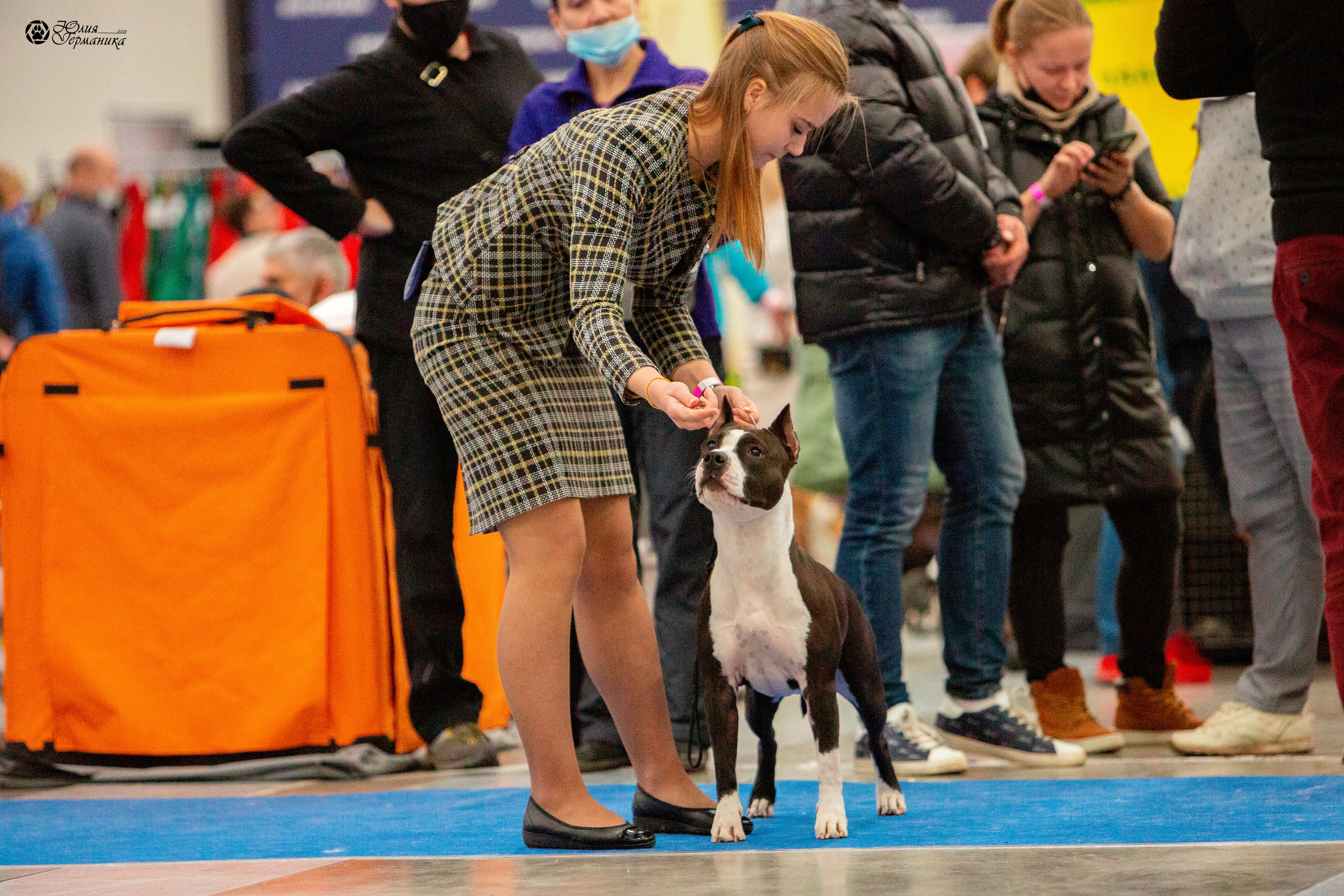 Питер 4 CACIB 22-25 октября 2021. Фотограф-анималист Юлия Германика