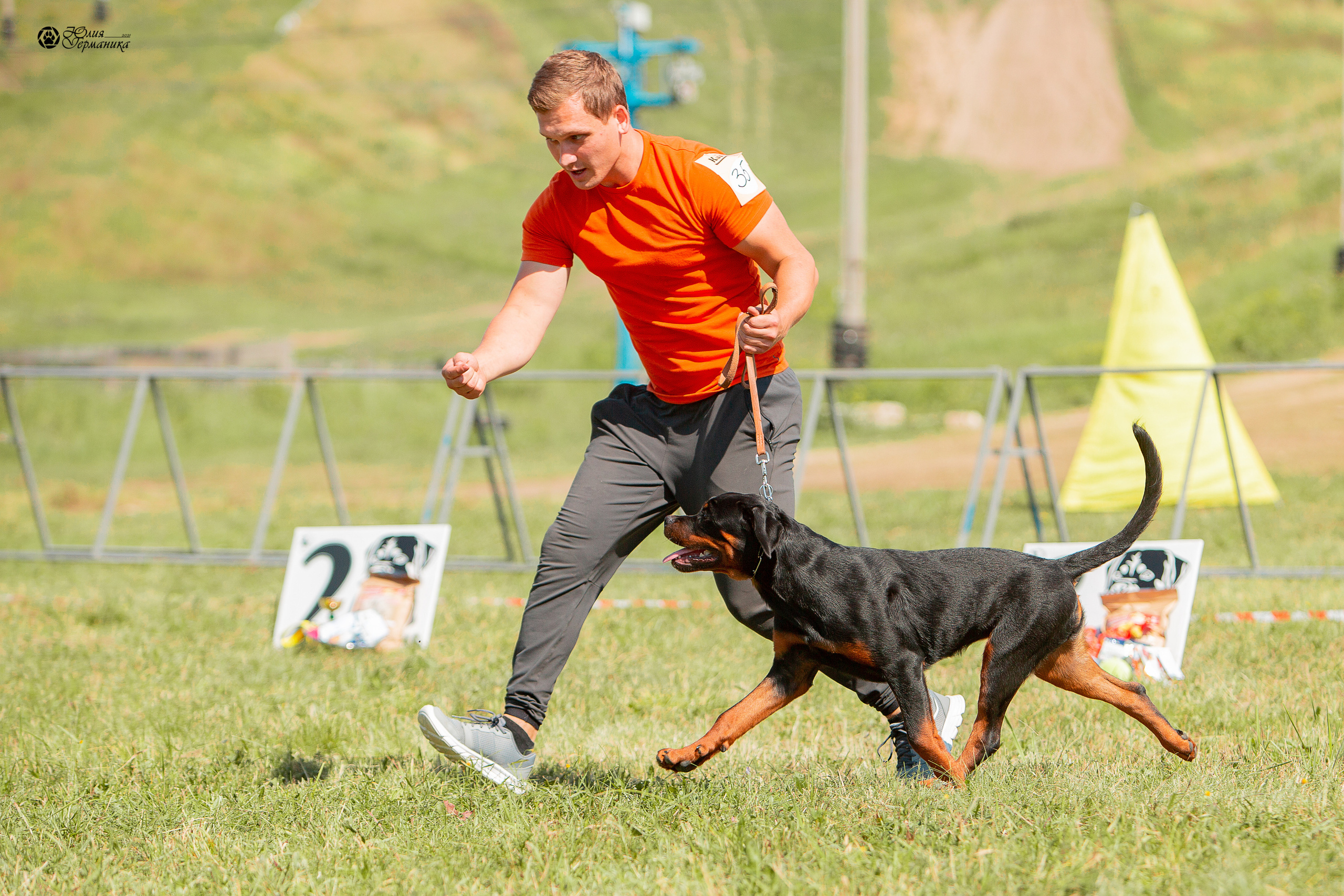 Рязань,Ховрино 14-15 августа 2021 моно ротвейлеров. Фотограф-анималист Юлия Германика