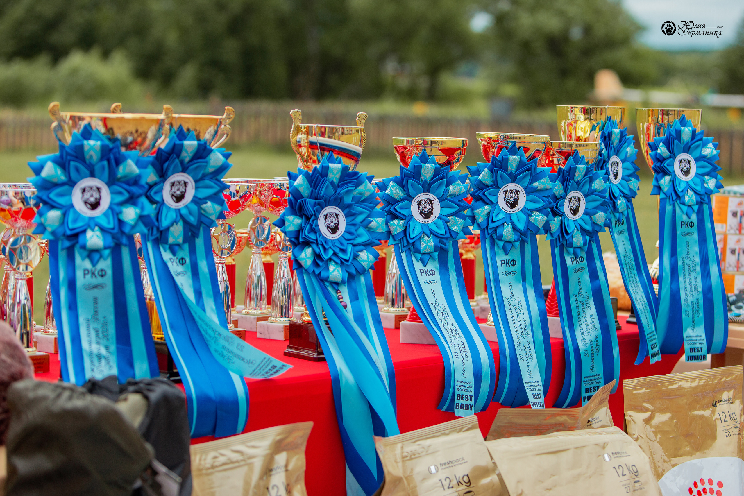 Тверь моно ротвейлеров 3-4 июля 2021. Фотограф-анималист Юлия Германика