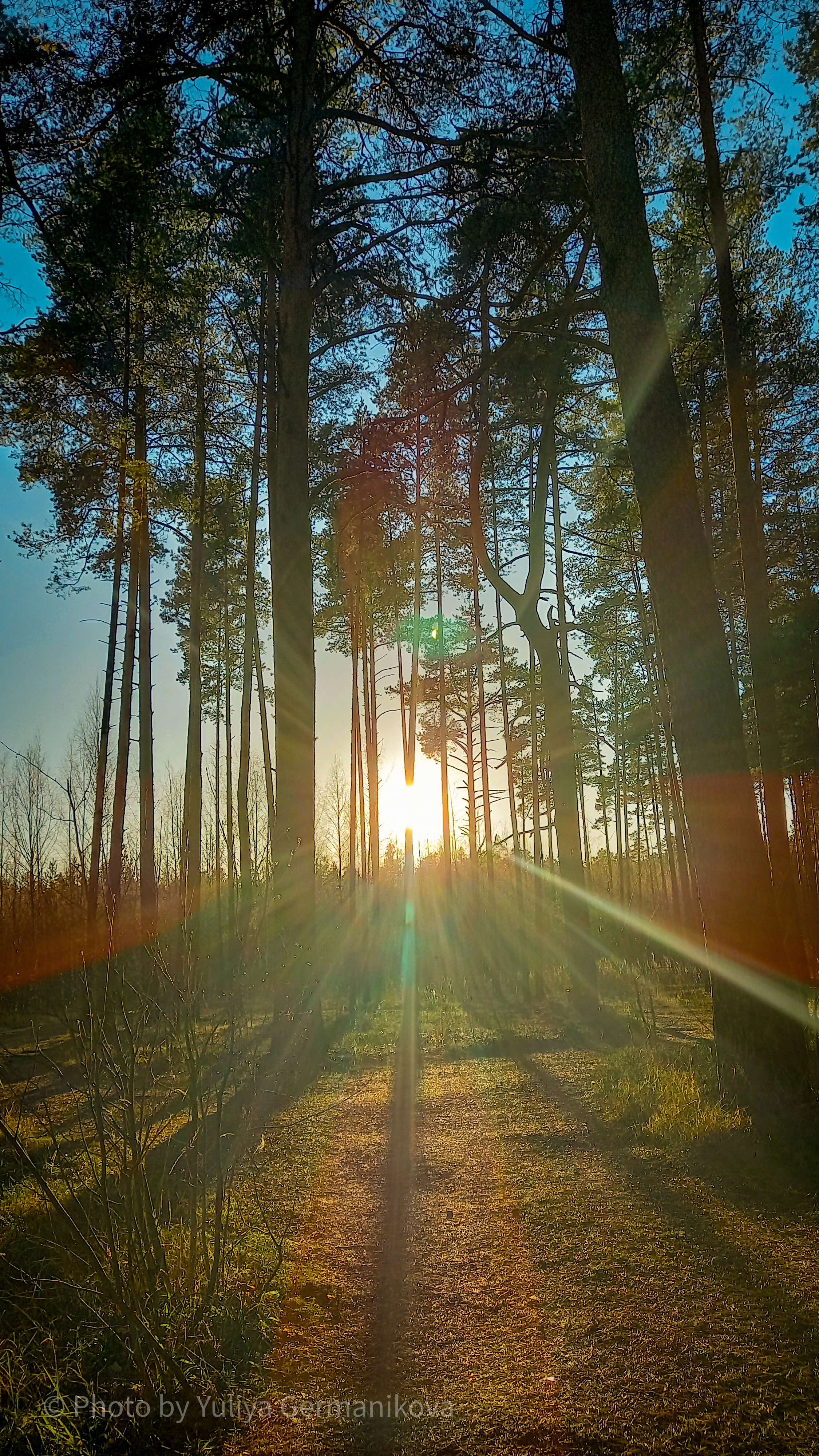 Разные фото на телефон.Города,природа. Фотограф-анималист Юлия Германика