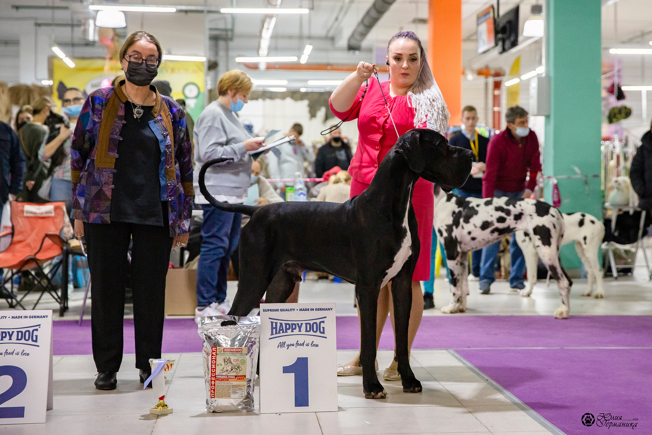 Чайник  13-14 ноября 2021. Фотограф-анималист Юлия Германика