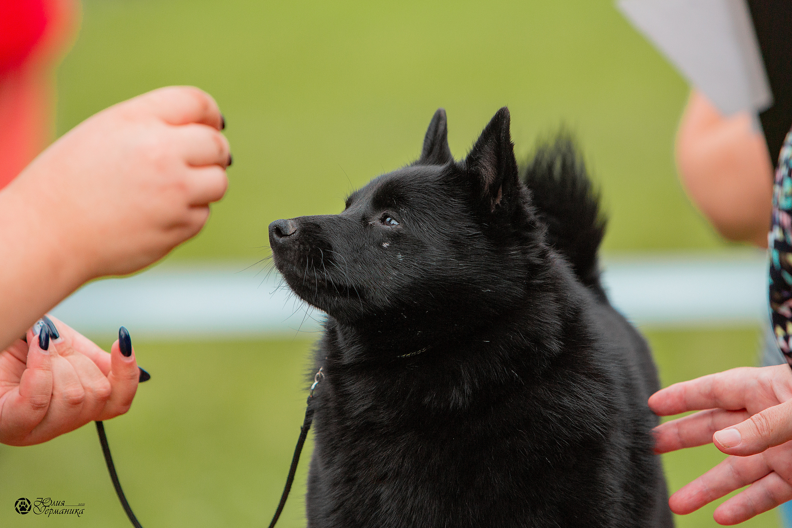 Пушкино 3хCAC 21 августа 2021