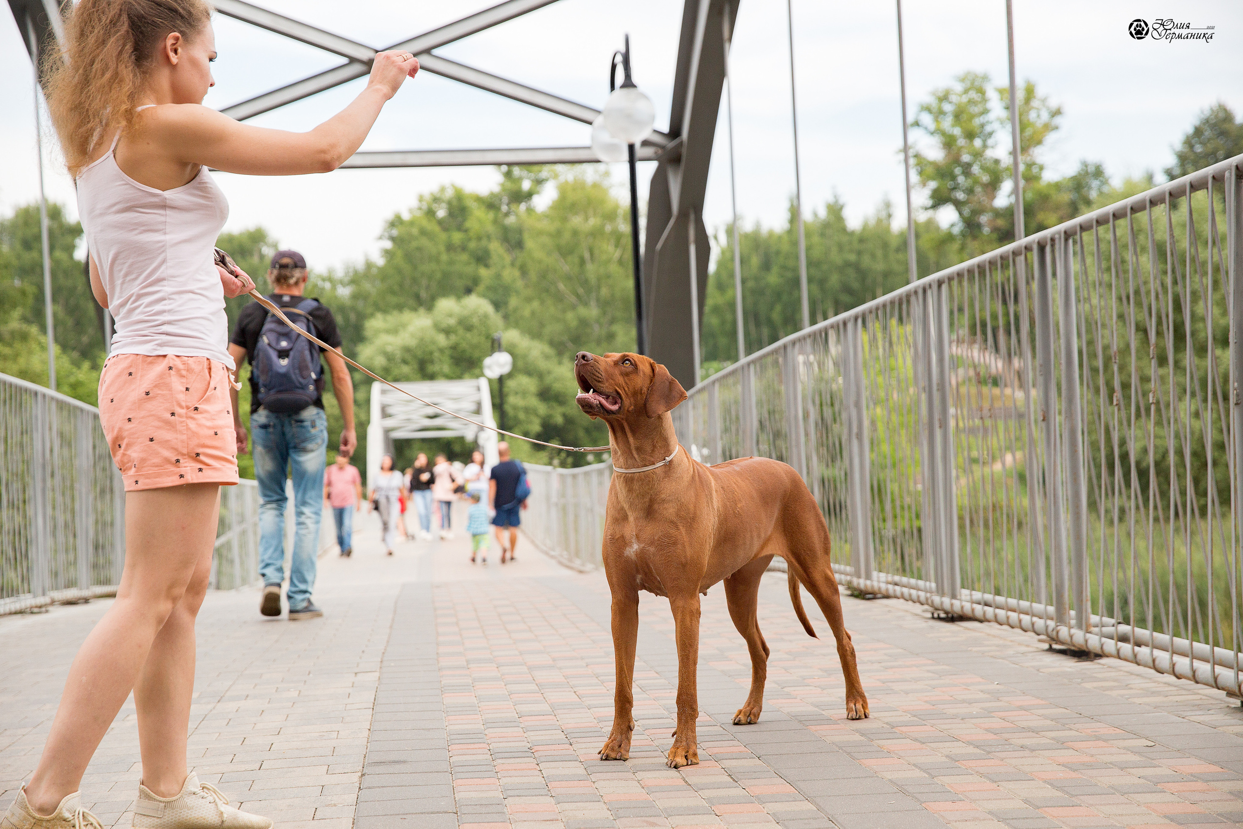Свободная съемка. Фотограф-анималист Юлия Германика