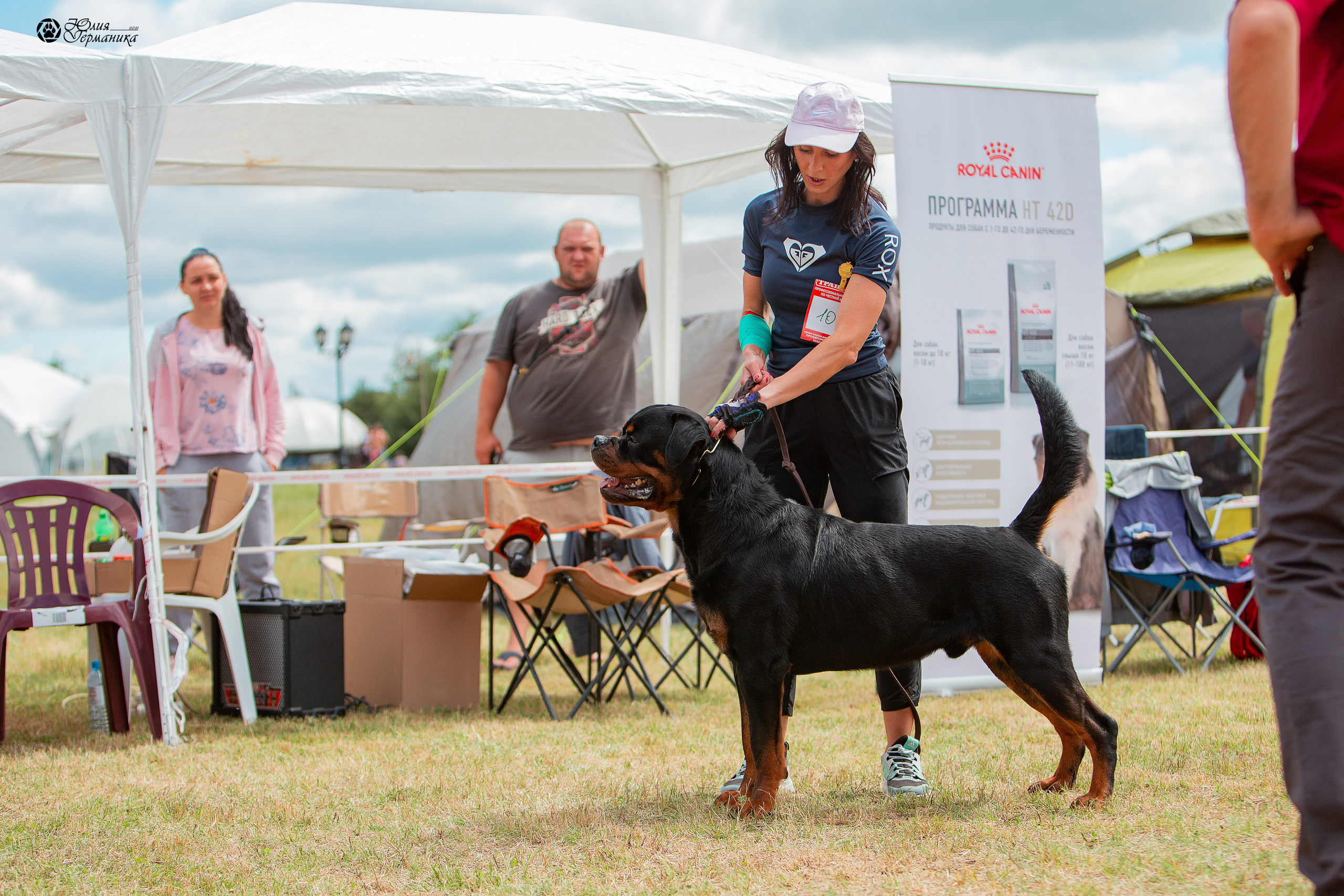 Тверь моно ротвейлеров 3-4 июля 2021. Фотограф-анималист Юлия Германика