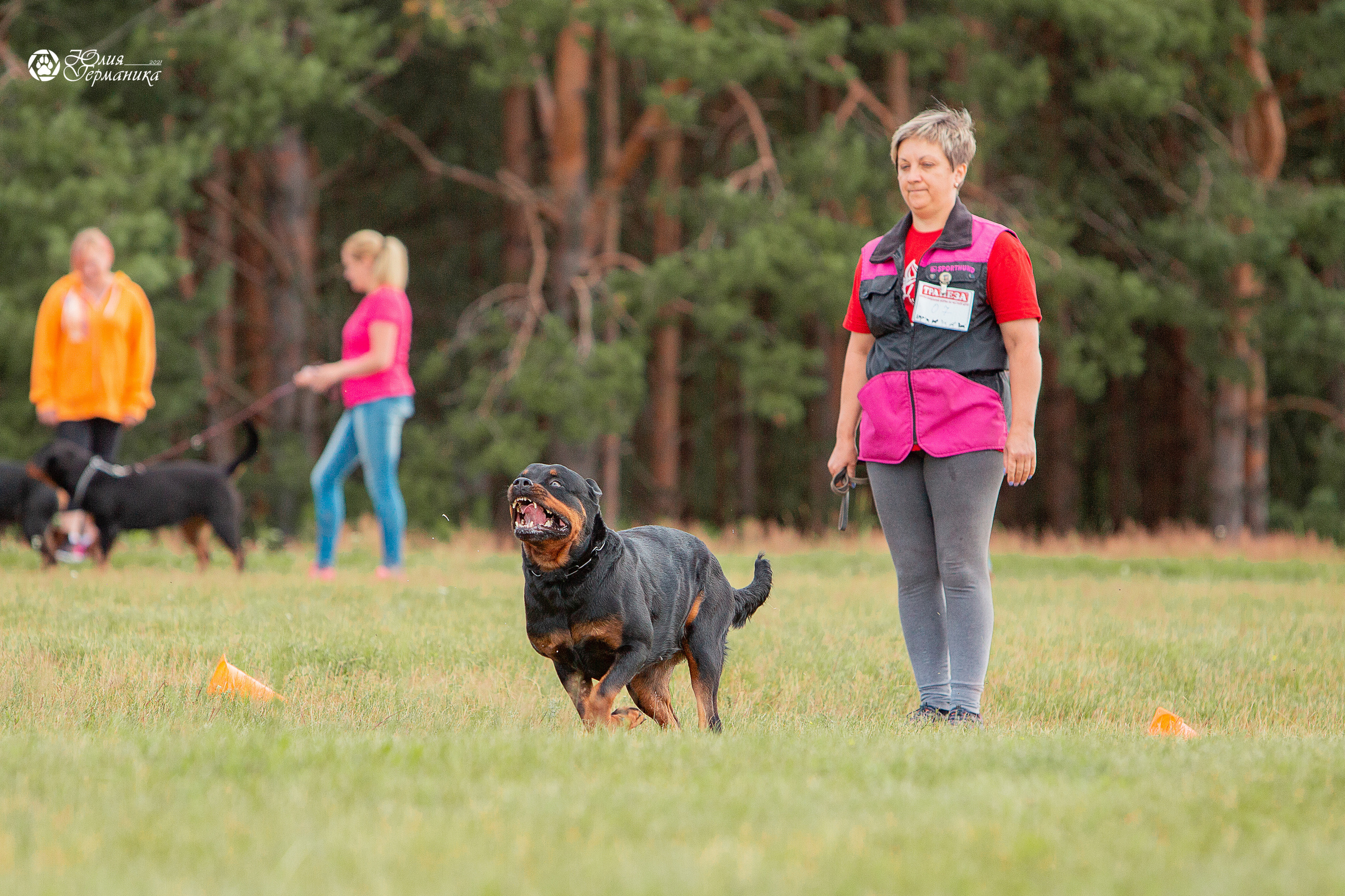 Тверь моно ротвейлеров 3-4 июля 2021. Фотограф-анималист Юлия Германика