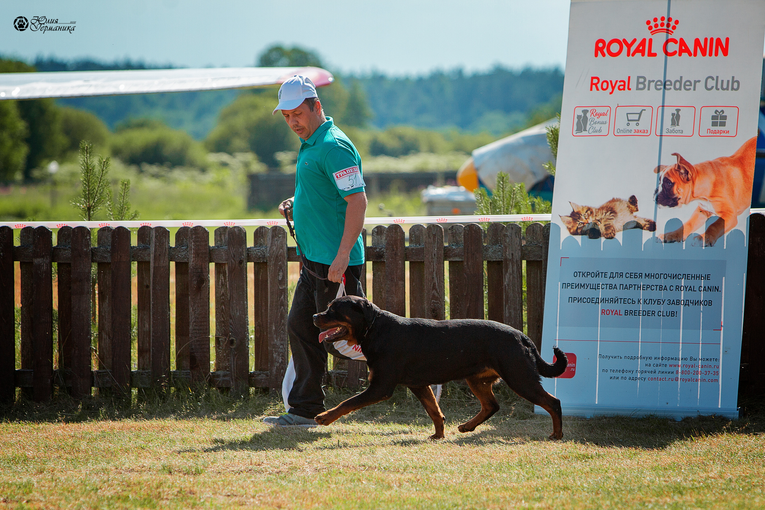 Тверь моно ротвейлеров 3-4 июля 2021. Фотограф-анималист Юлия Германика