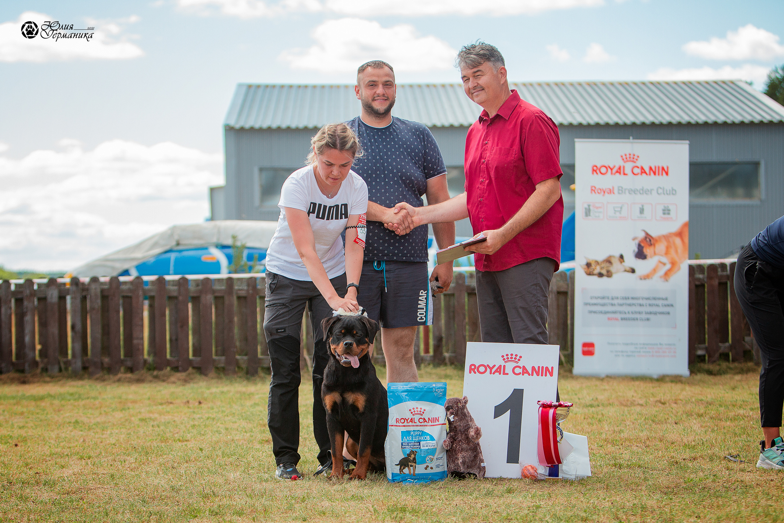 Тверь моно ротвейлеров 3-4 июля 2021. Фотограф-анималист Юлия Германика