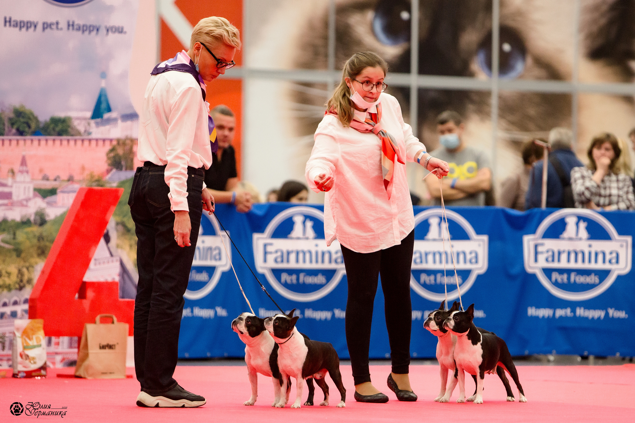 Нижний Новгород 3хCACIB 15-17 октября 2021. Фотограф-анималист Юлия Германика