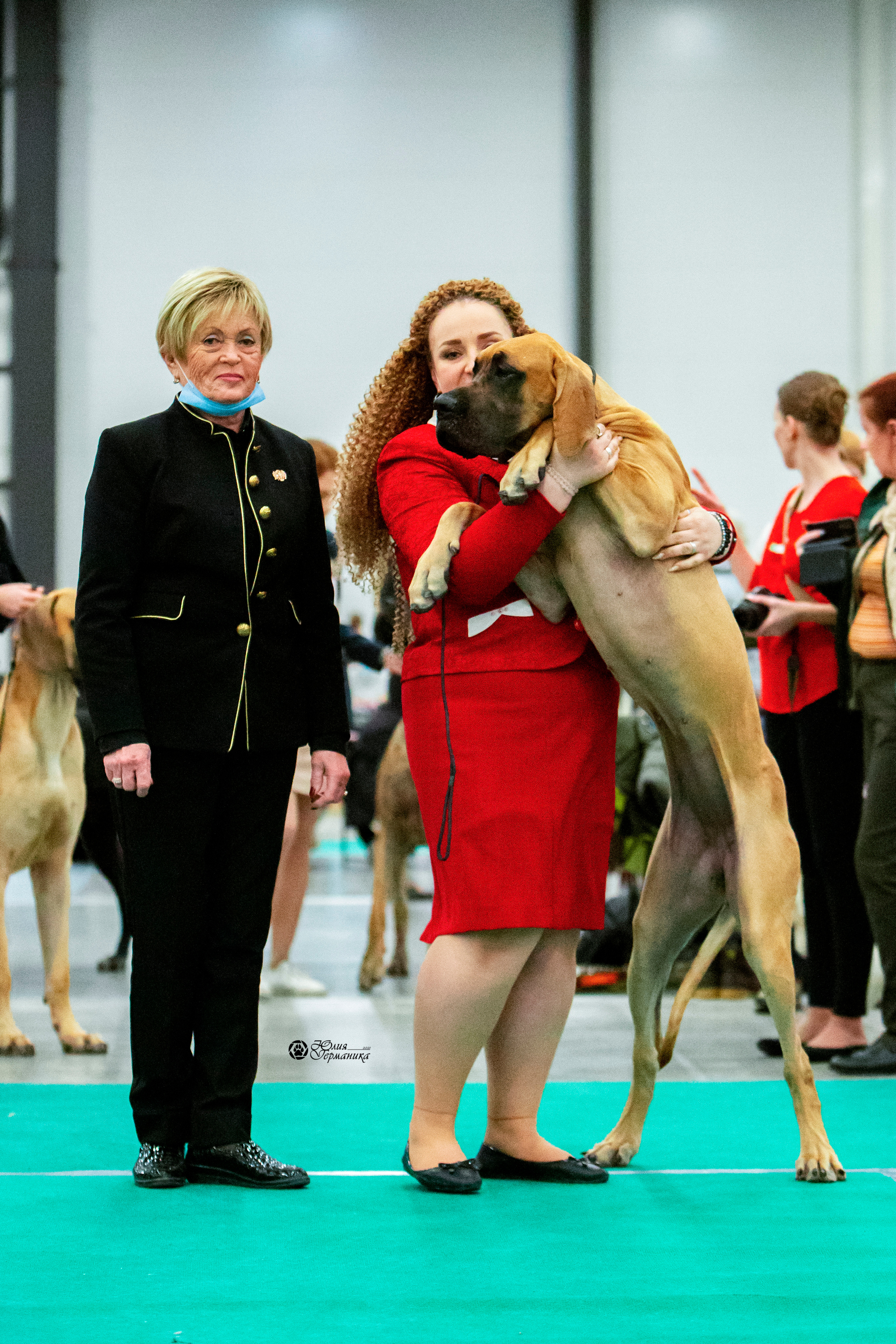 Санкт-Петербург 3хCACIB 10-12 декабря 2021. Фотограф-анималист Юлия Германика