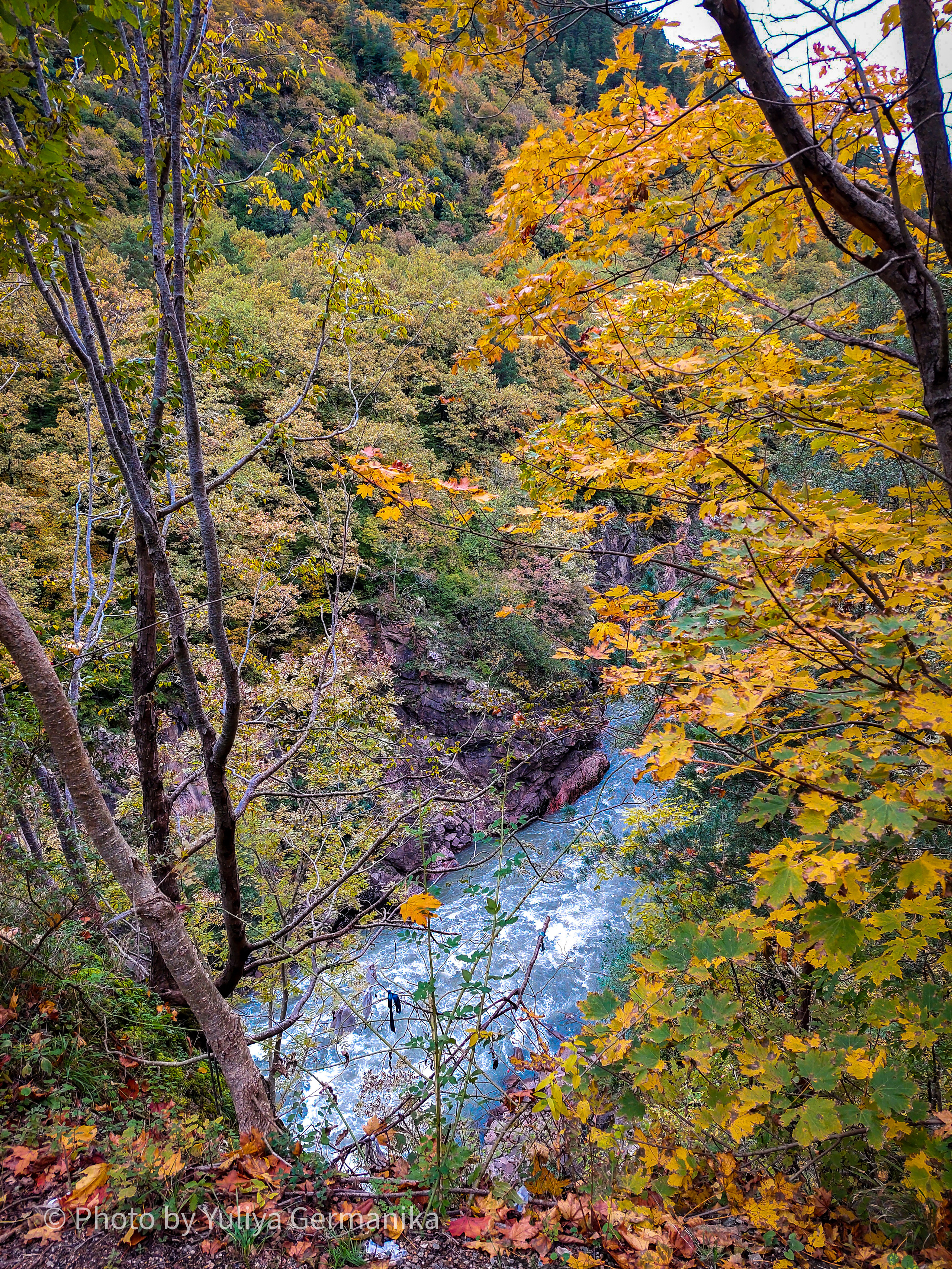 Разные фото на телефон.Города,природа. Фотограф-анималист Юлия Германика