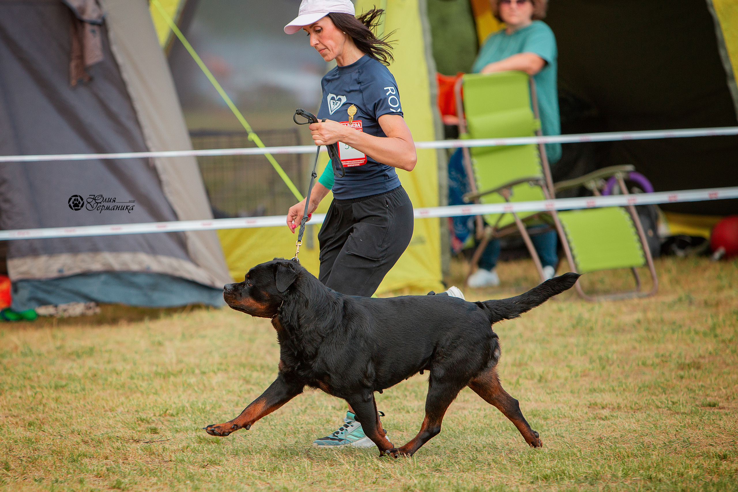 Тверь моно ротвейлеров 3-4 июля 2021. Фотограф-анималист Юлия Германика