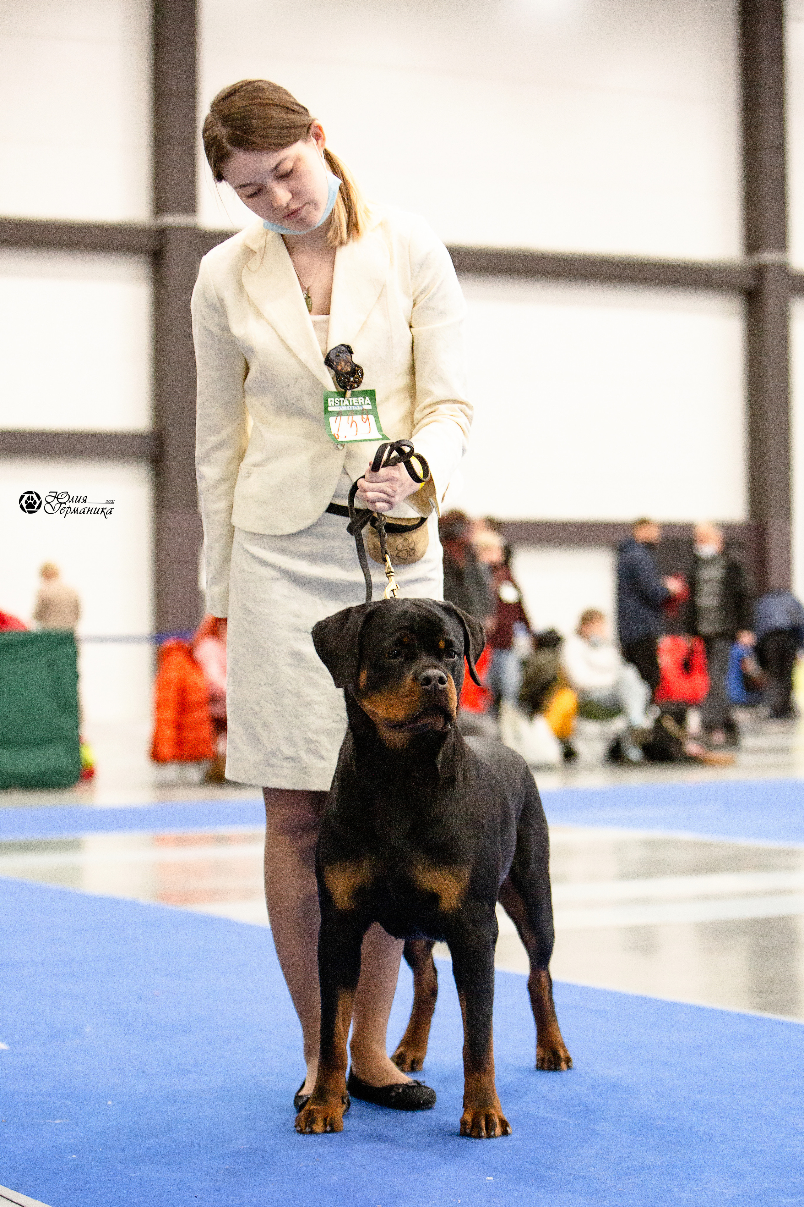 Питер 4 CACIB 22-25 октября 2021. Фотограф-анималист Юлия Германика