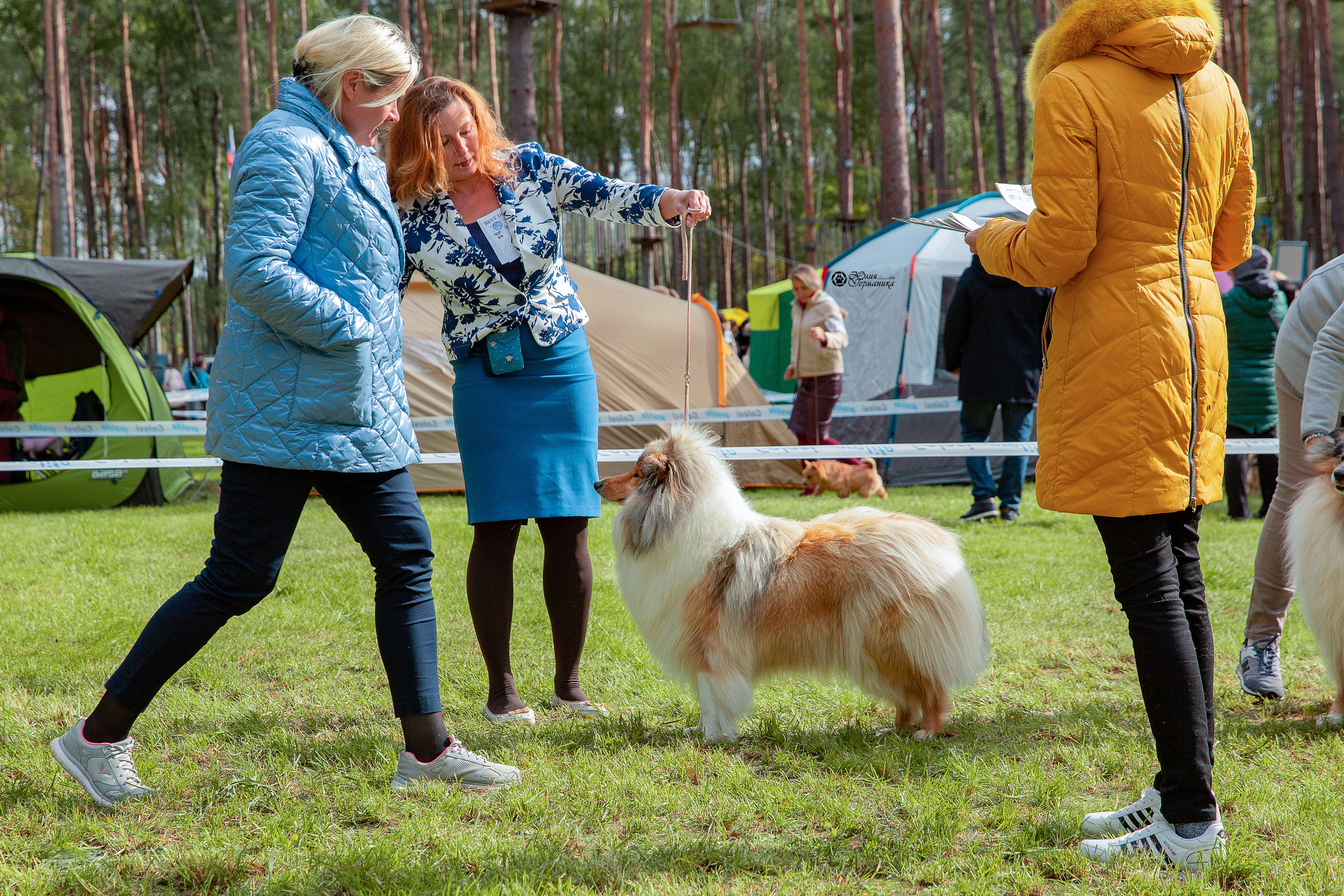 Псков 2xСАСIB 18-19 сентября 2021. Фотограф-анималист Юлия Германика