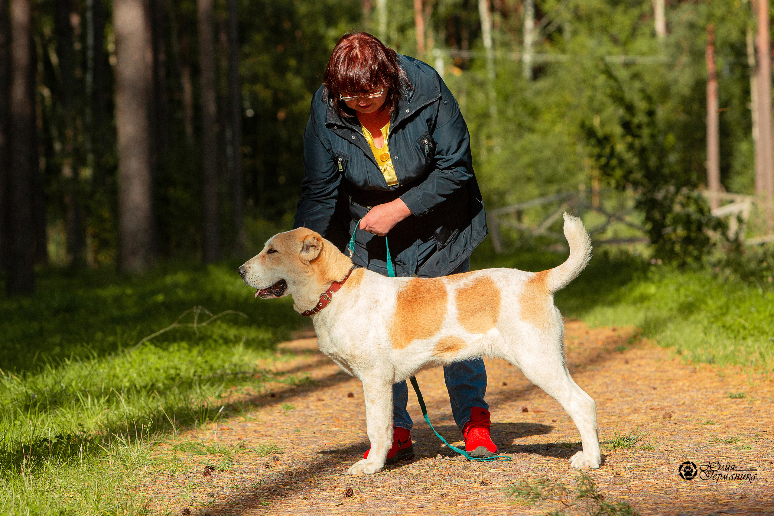 Свободная съемка. Фотограф-анималист Юлия Германика