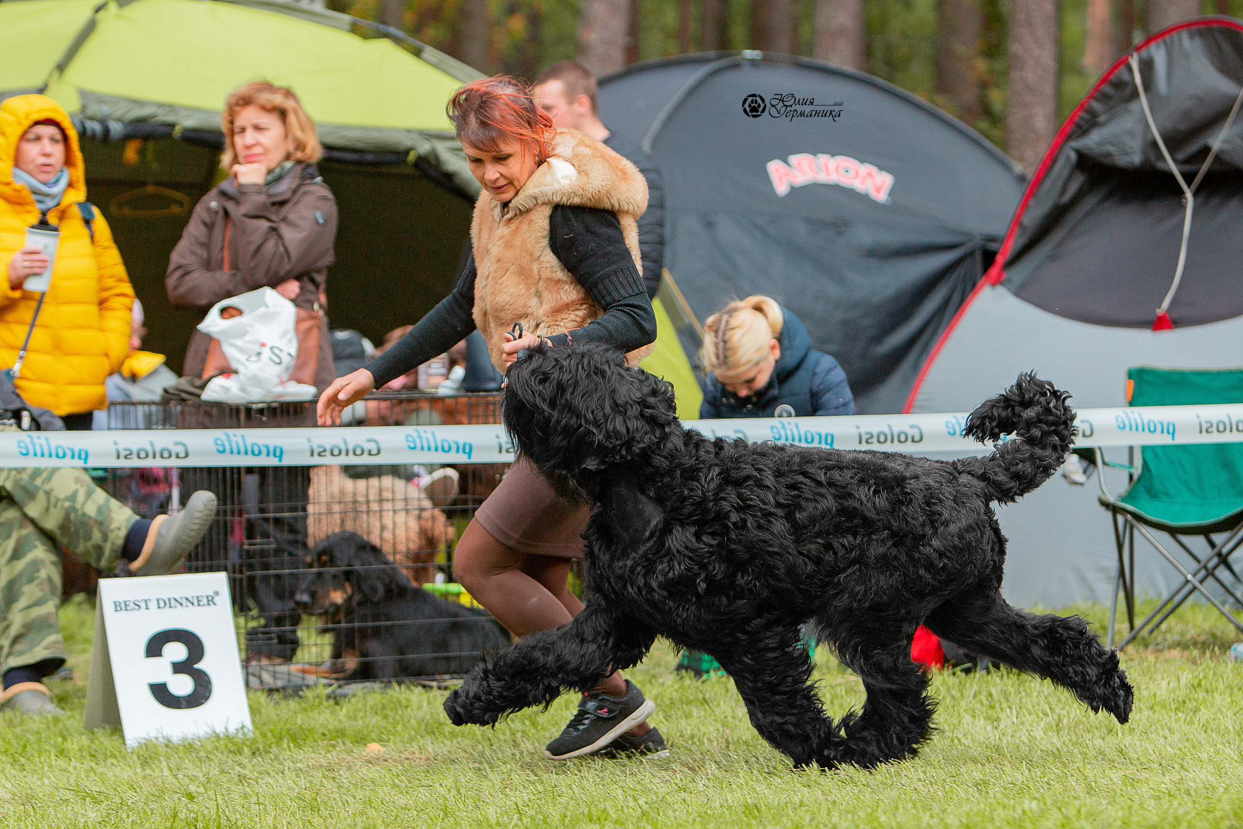 Псков 2xСАСIB 18-19 сентября 2021. Фотограф-анималист Юлия Германика