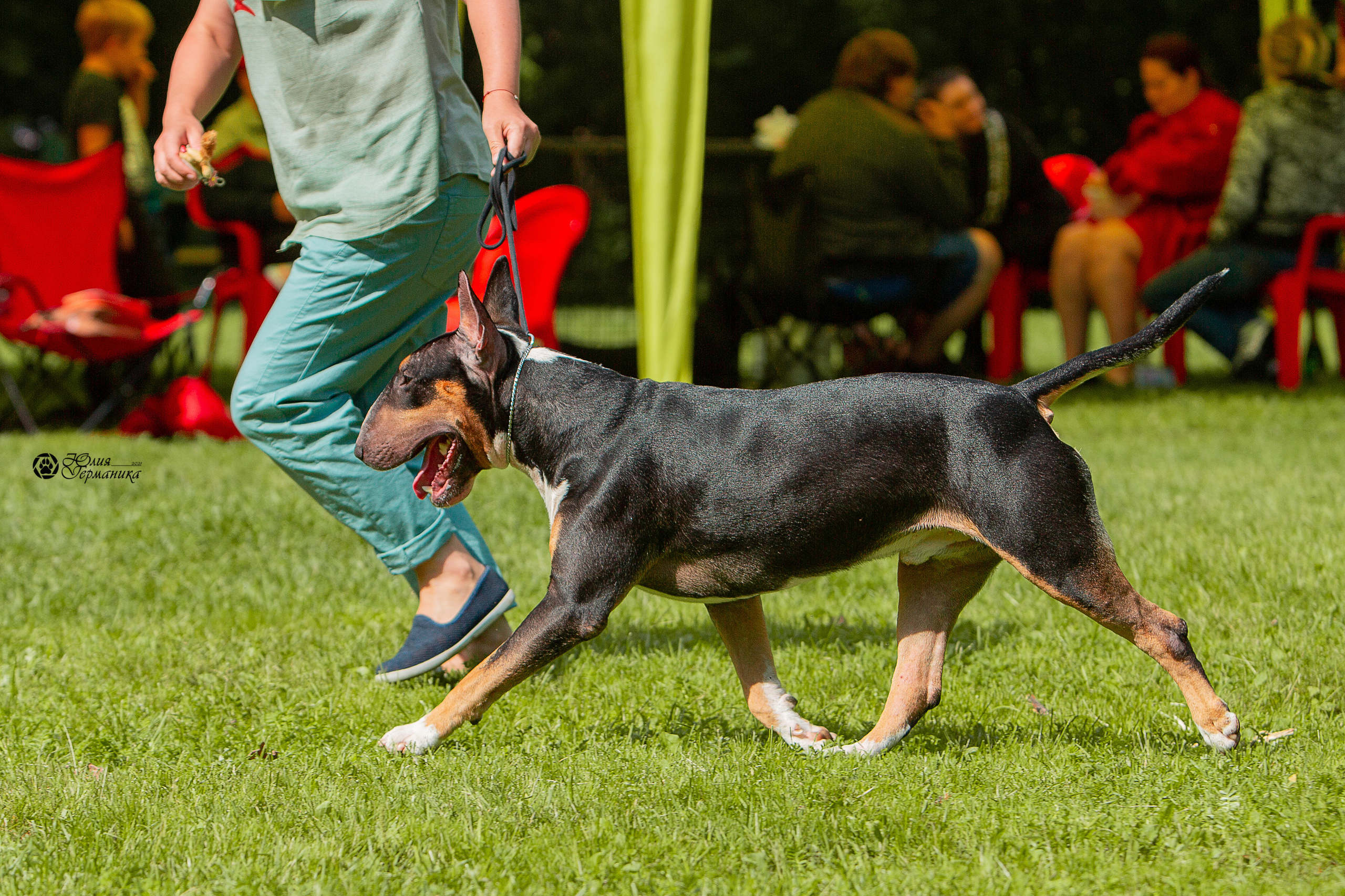 Сокольники CAC 22 августа 2021. Фотограф-анималист Юлия Германика