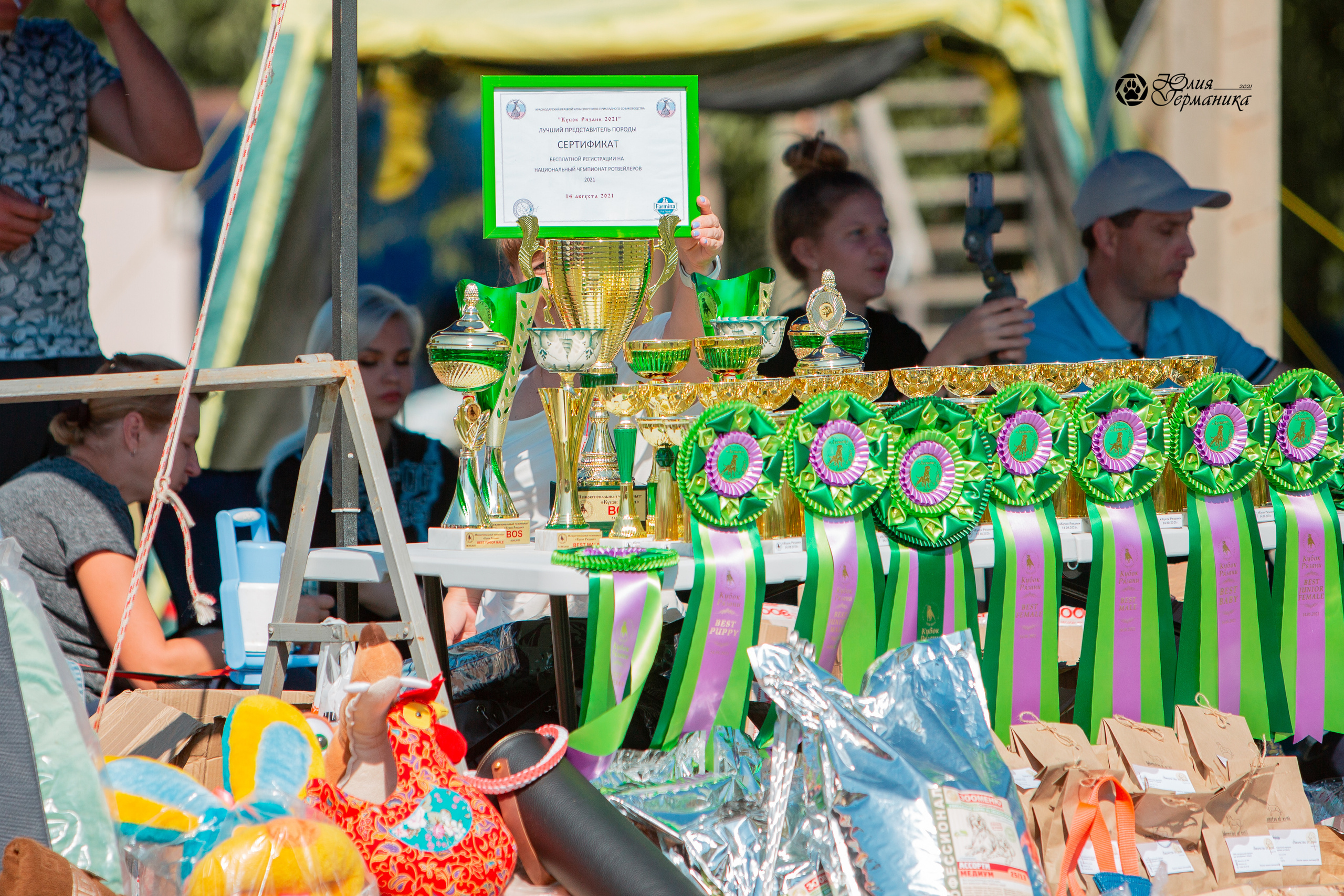 Рязань,Ховрино 14-15 августа 2021 моно ротвейлеров. Фотограф-анималист Юлия Германика