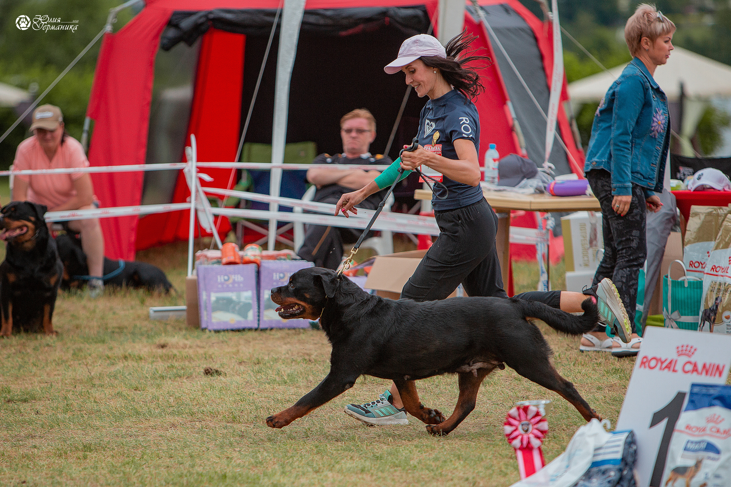 Тверь моно ротвейлеров 3-4 июля 2021. Фотограф-анималист Юлия Германика