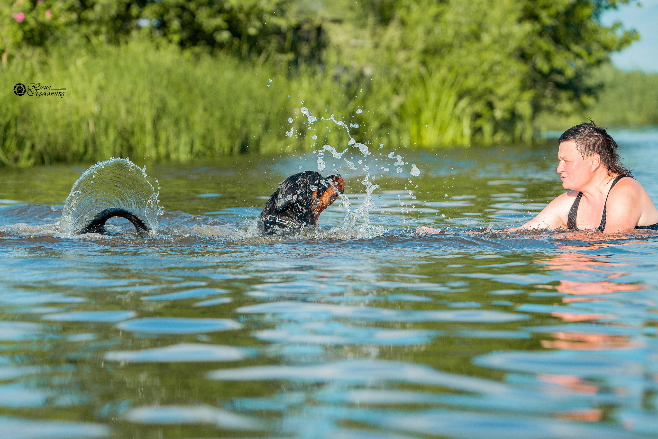 Свободная съемка. Фотограф-анималист Юлия Германика