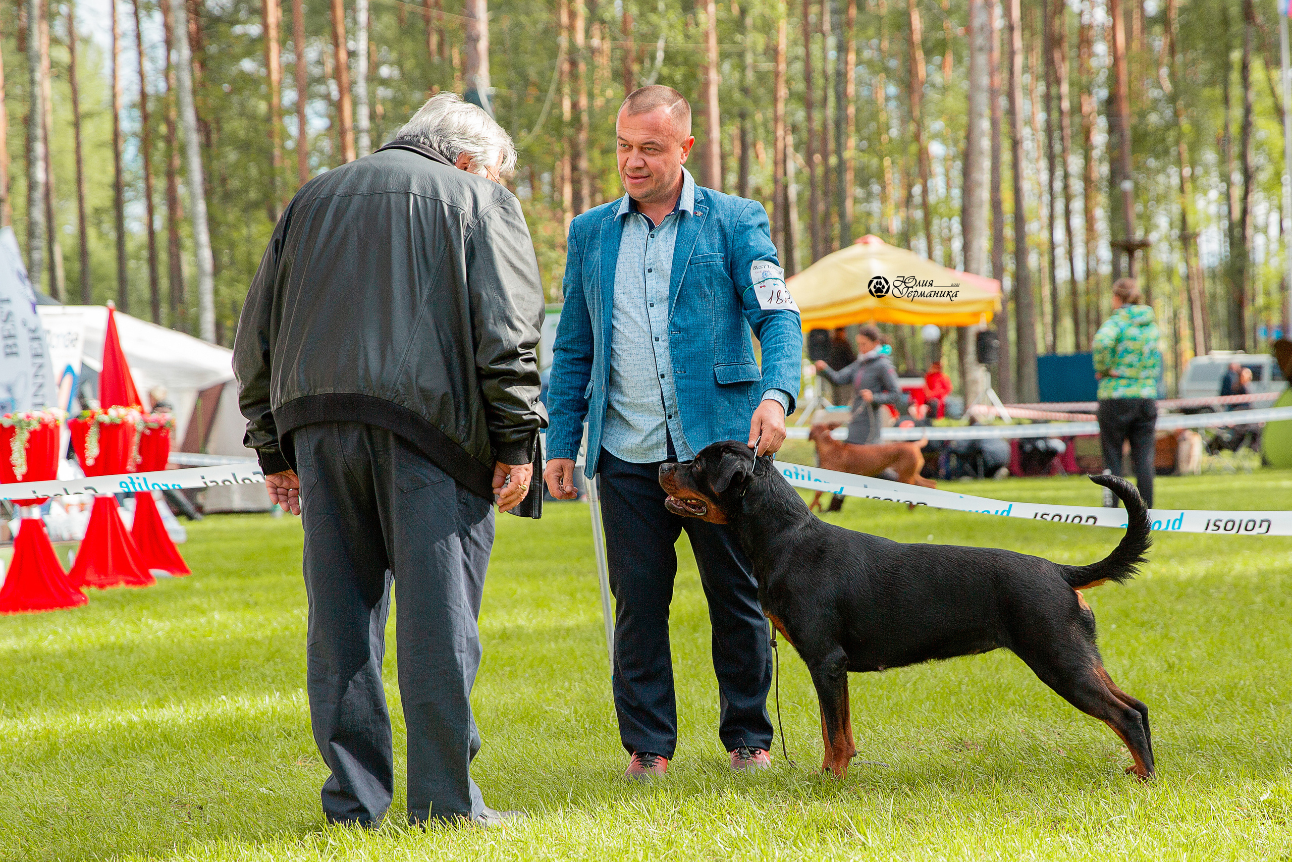 Псков 2xСАСIB 18-19 сентября 2021. Фотограф-анималист Юлия Германика