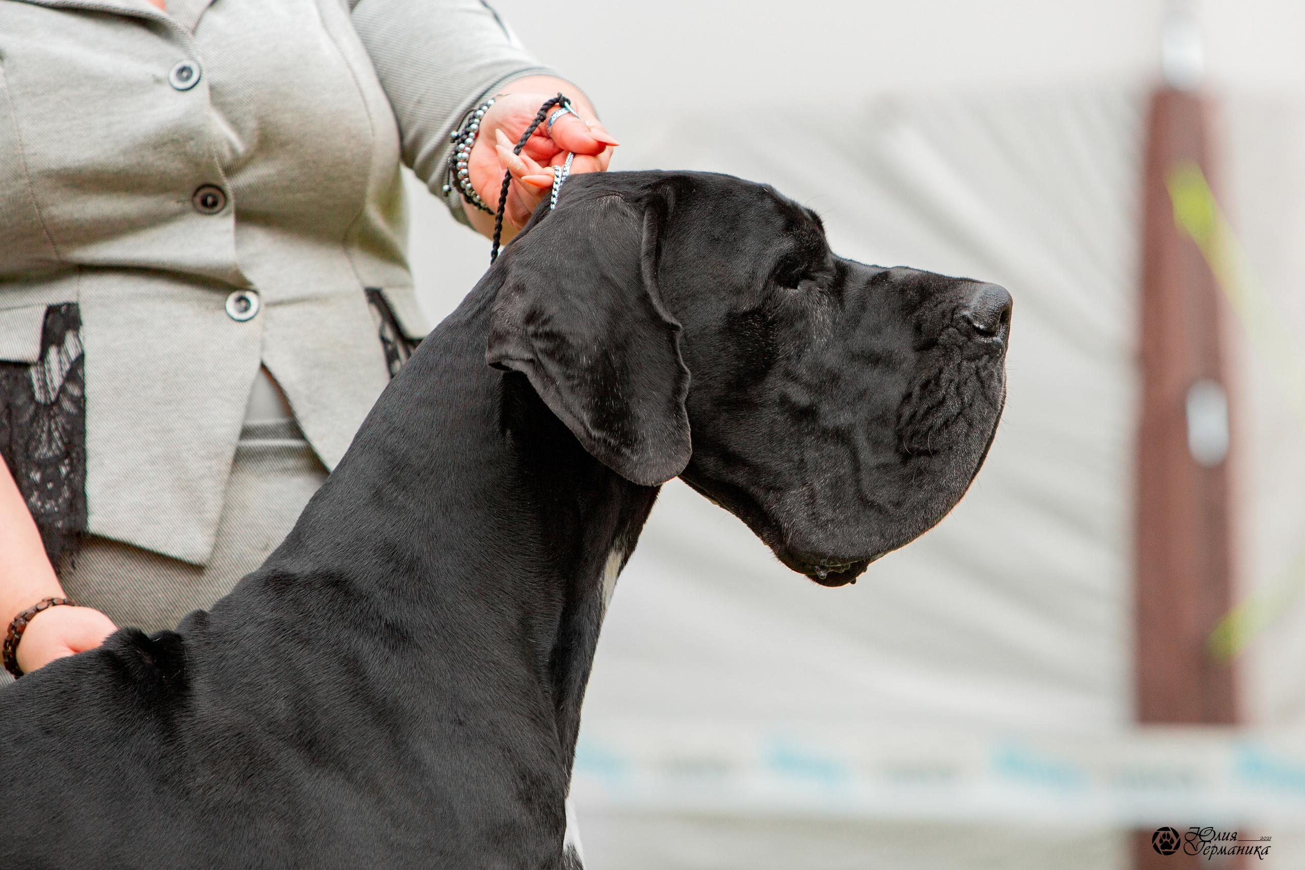 Псков 2xСАСIB 18-19 сентября 2021. Фотограф-анималист Юлия Германика