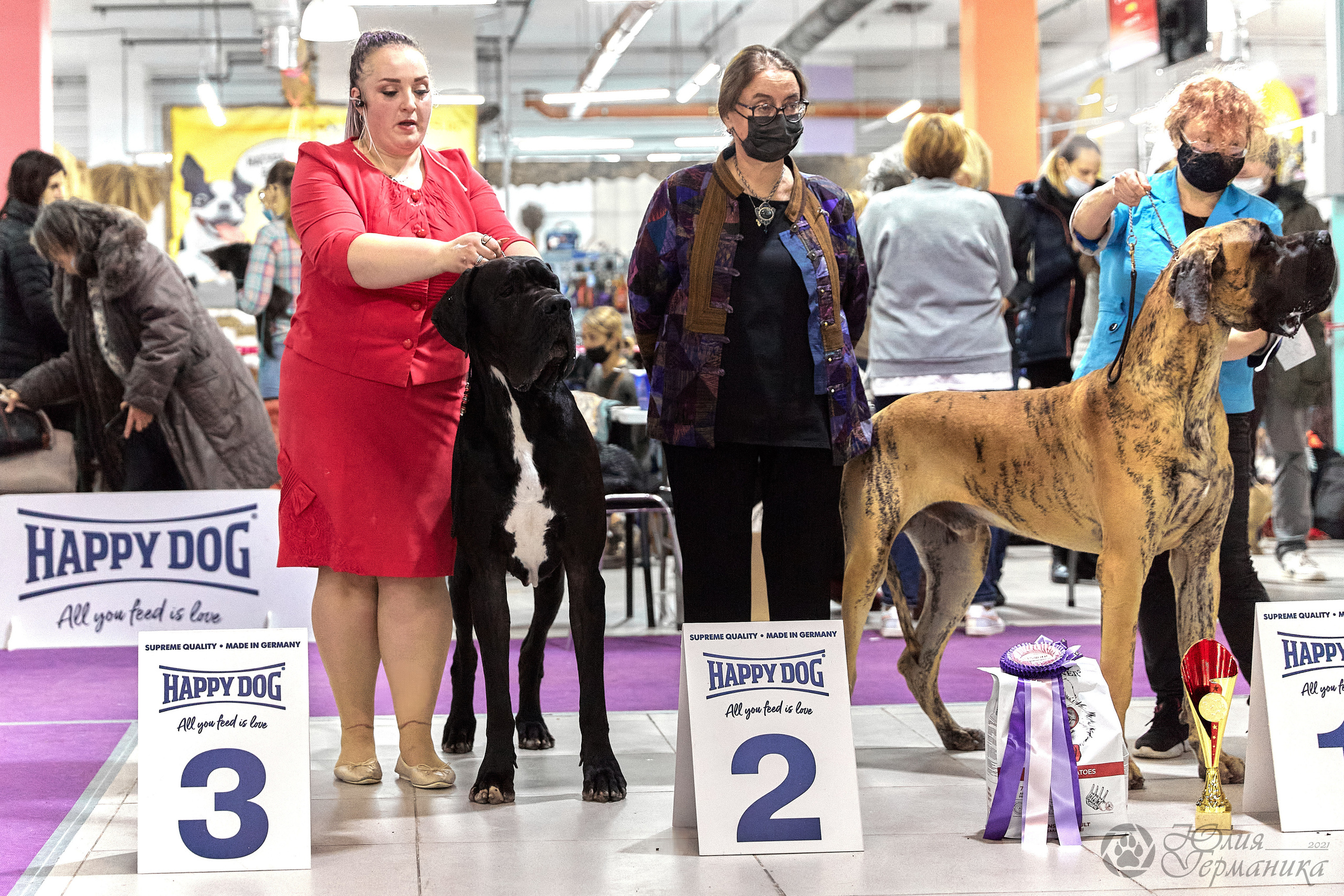 Чайник  13-14 ноября 2021. Фотограф-анималист Юлия Германика