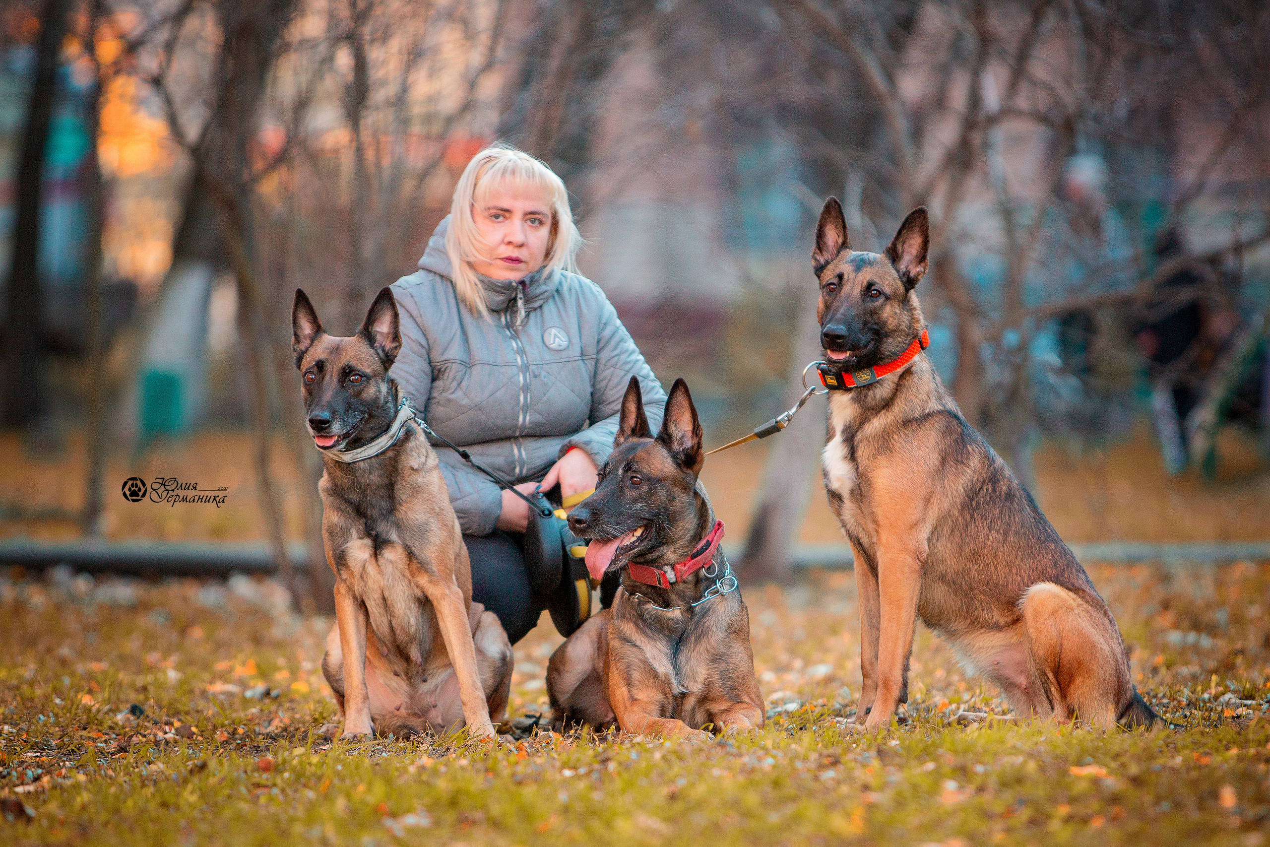 Свободная съемка. Фотограф-анималист Юлия Германика
