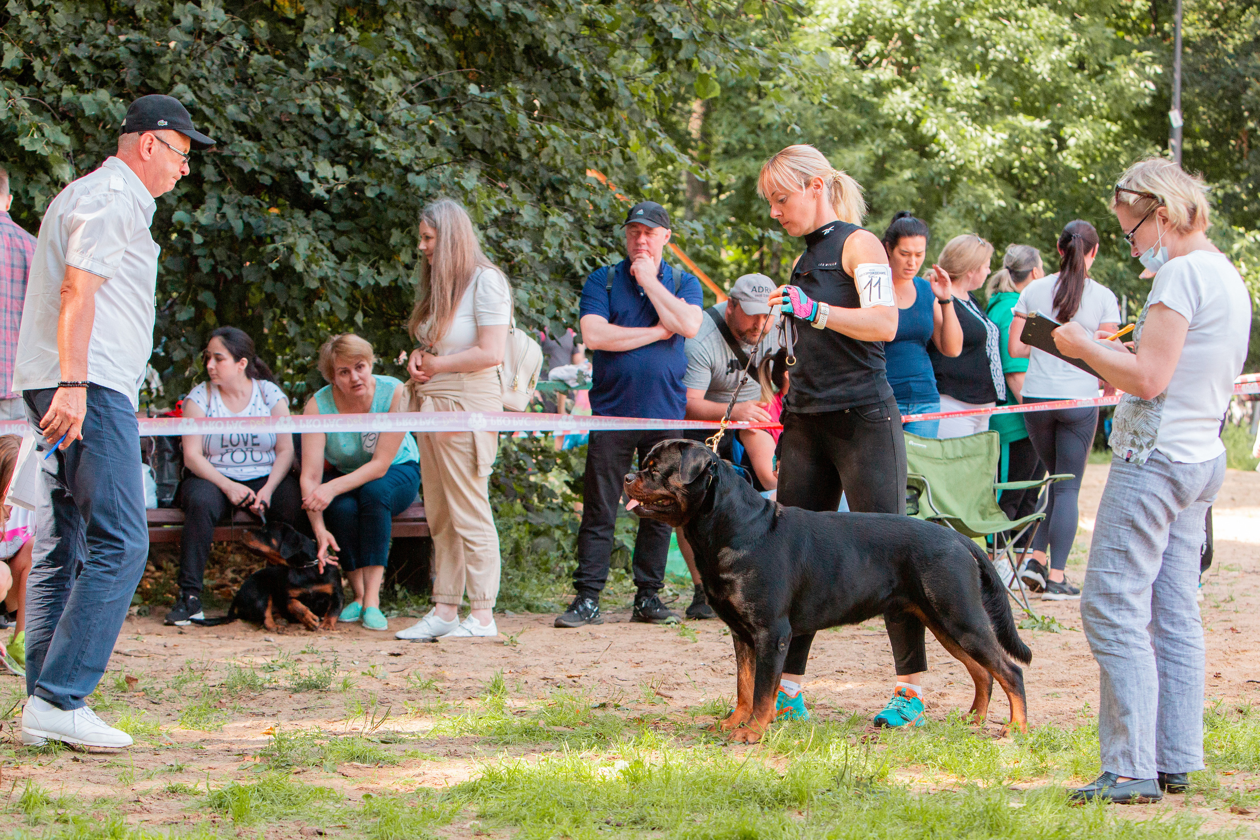 Рязань,Ховрино 14-15 августа 2021 моно ротвейлеров. Фотограф-анималист Юлия Германика