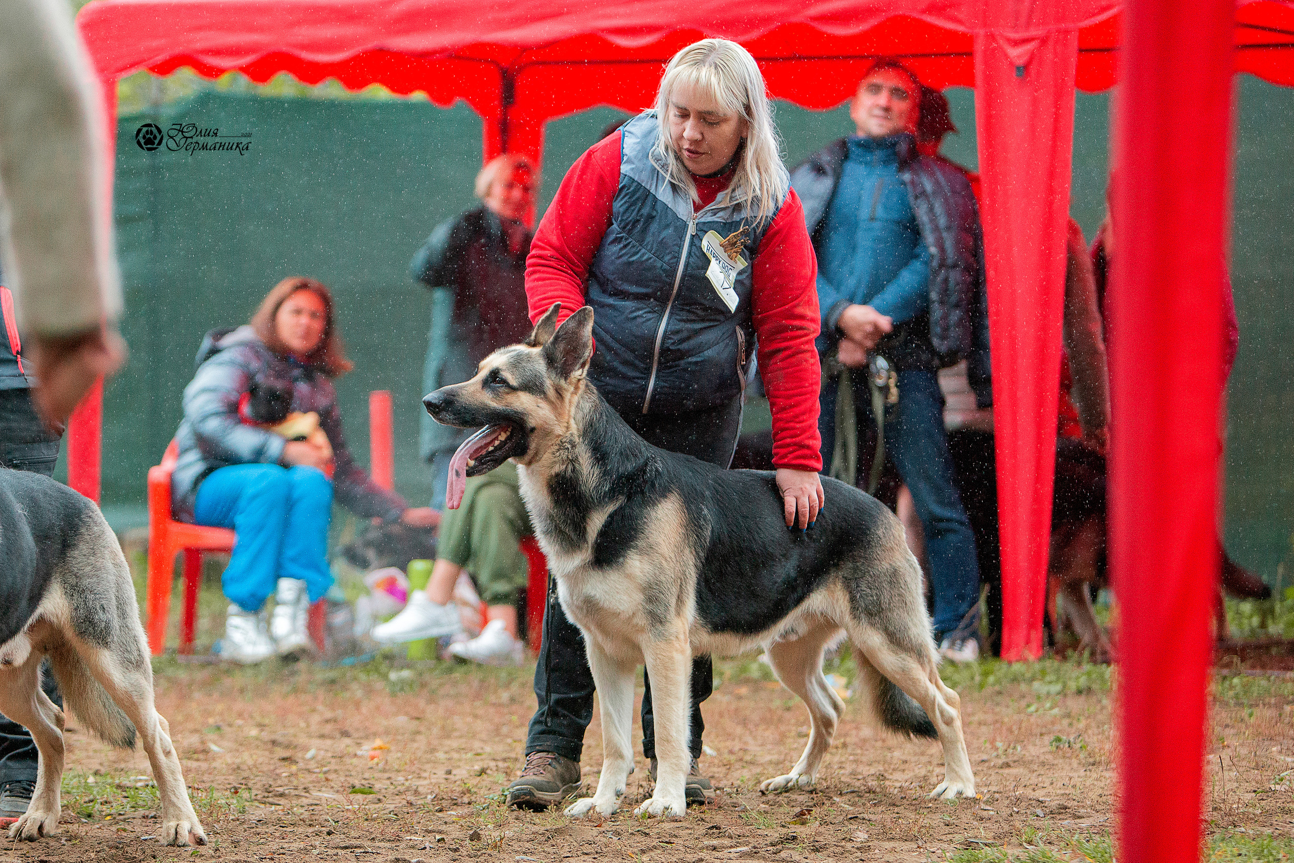 Сокольники 25 сентября Моно ВЕО Моншер Версаль. Фотограф-анималист Юлия Германика