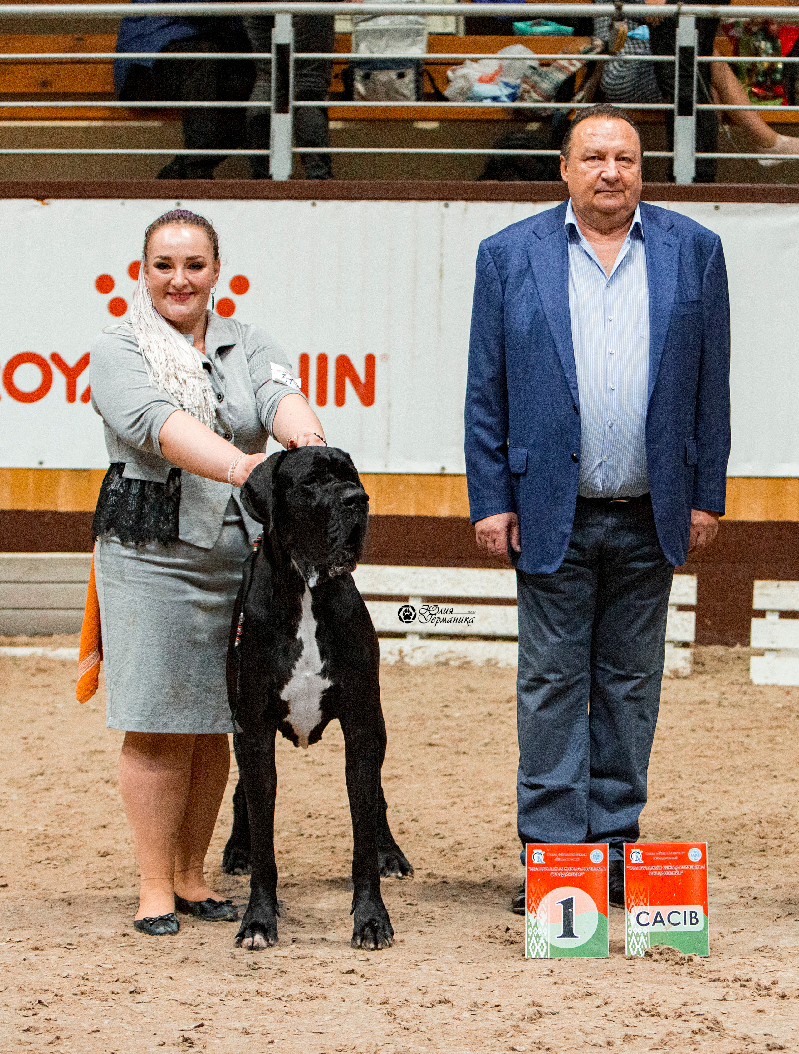 Минск 2хCACIB 27-28 ноября 2021. Фотограф-анималист Юлия Германика