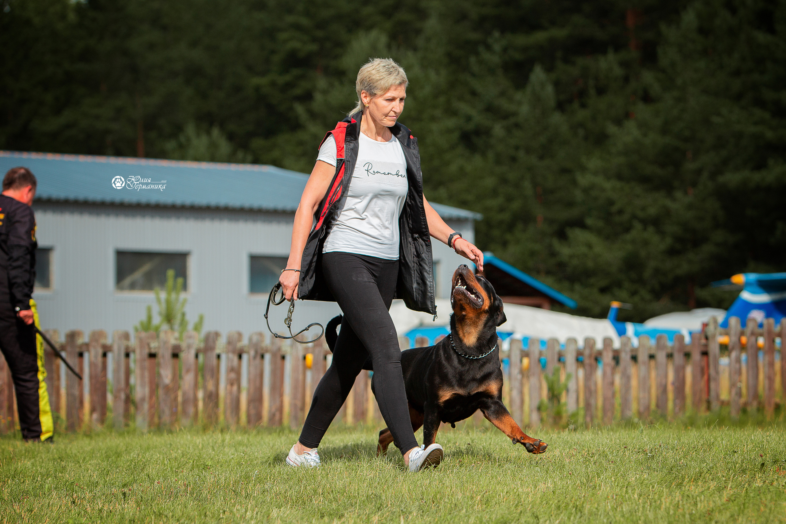 Тверь моно ротвейлеров 3-4 июля 2021. Фотограф-анималист Юлия Германика