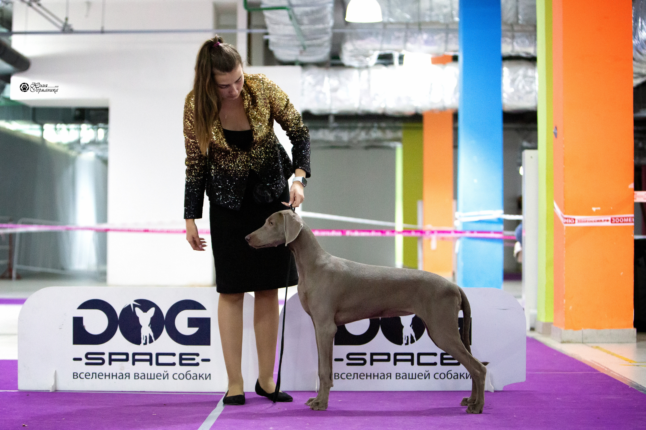 Чайна-Таун 2021. Фотограф-анималист Юлия Германика