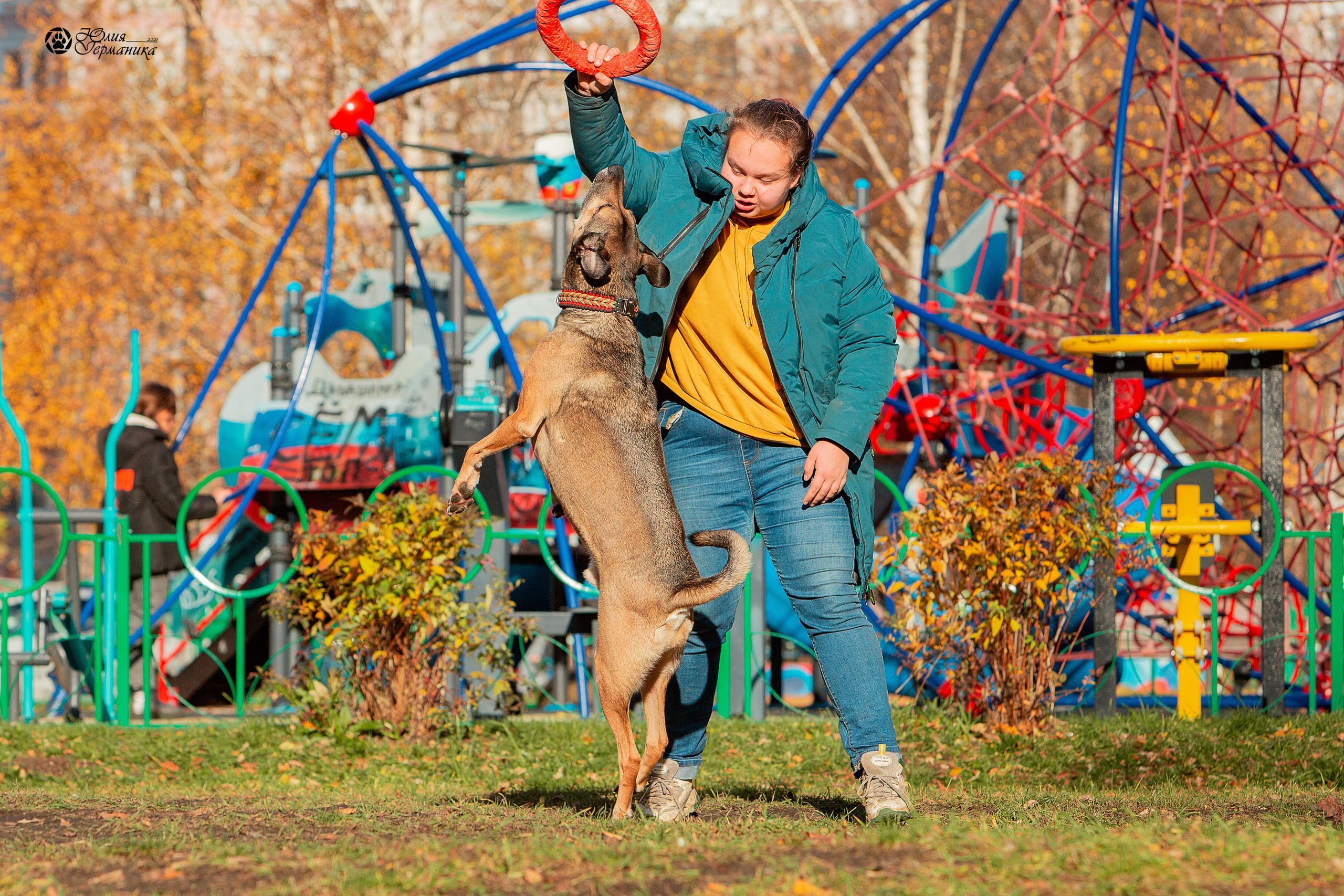 Свободная съемка. Фотограф-анималист Юлия Германика