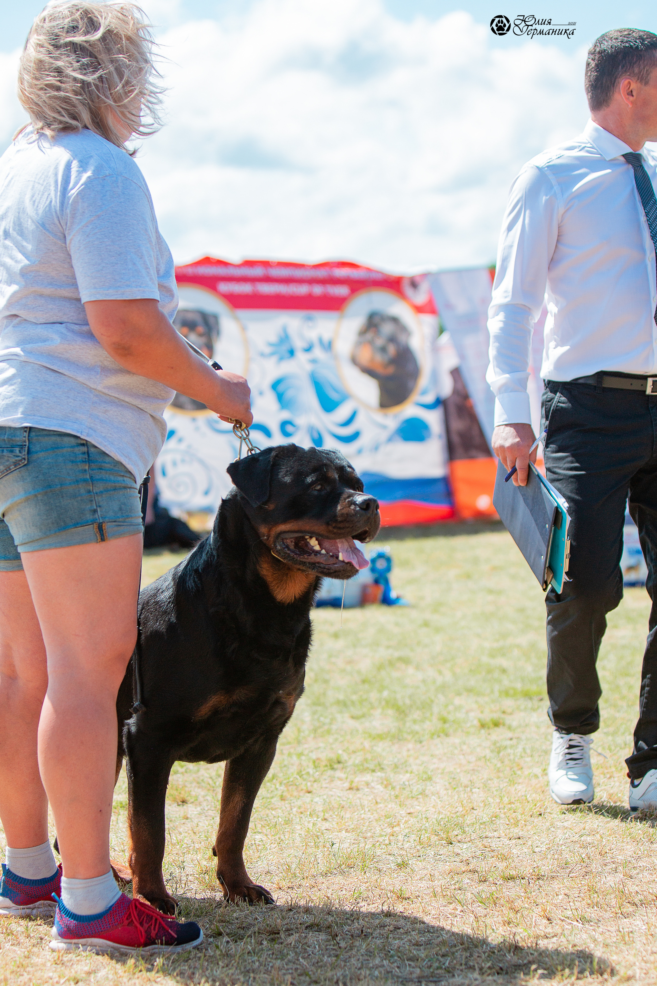 Тверь моно ротвейлеров 3-4 июля 2021. Фотограф-анималист Юлия Германика